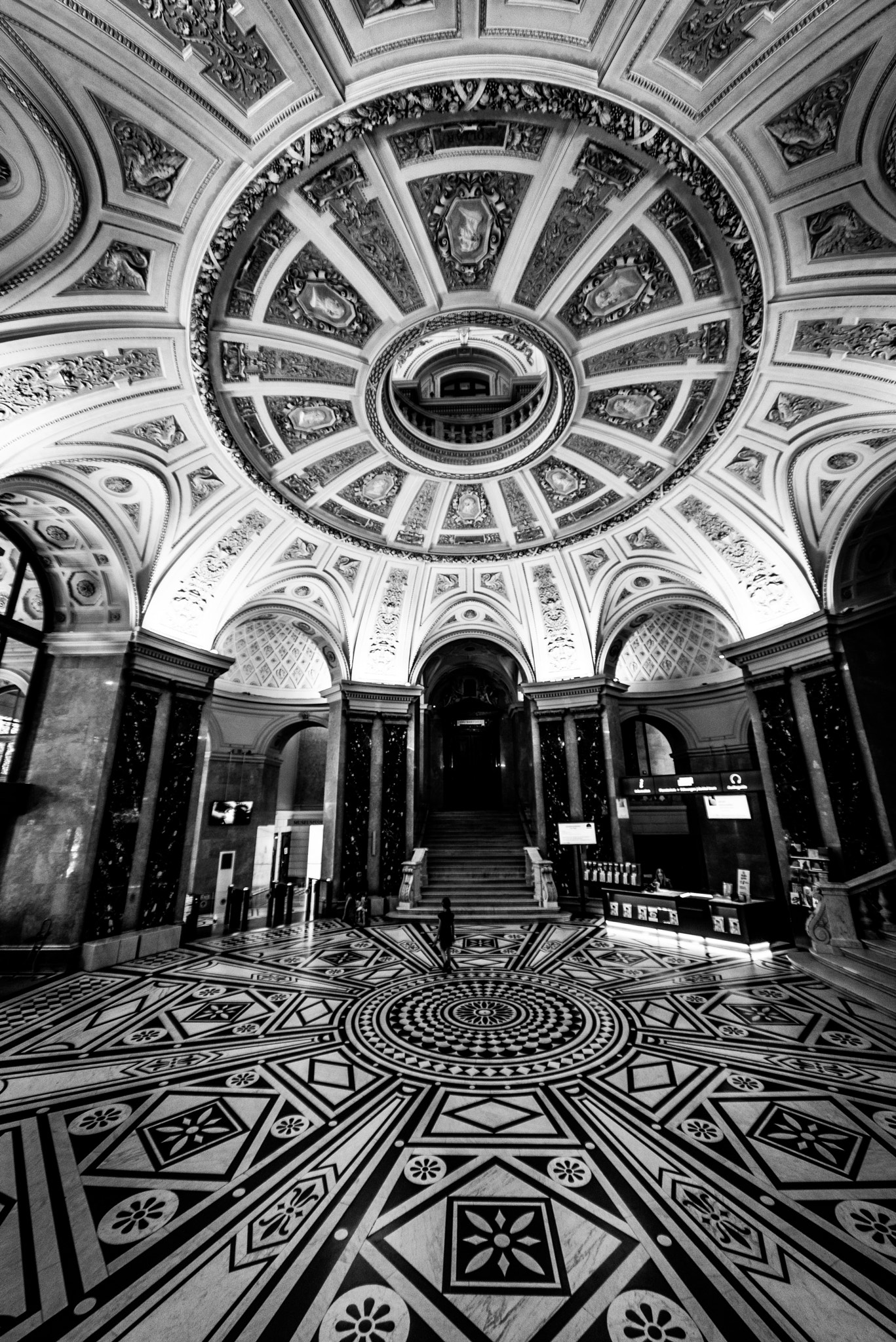 Sony a7R + Sony 16mm F2.8 Fisheye sample photo. Museum of natural history photography