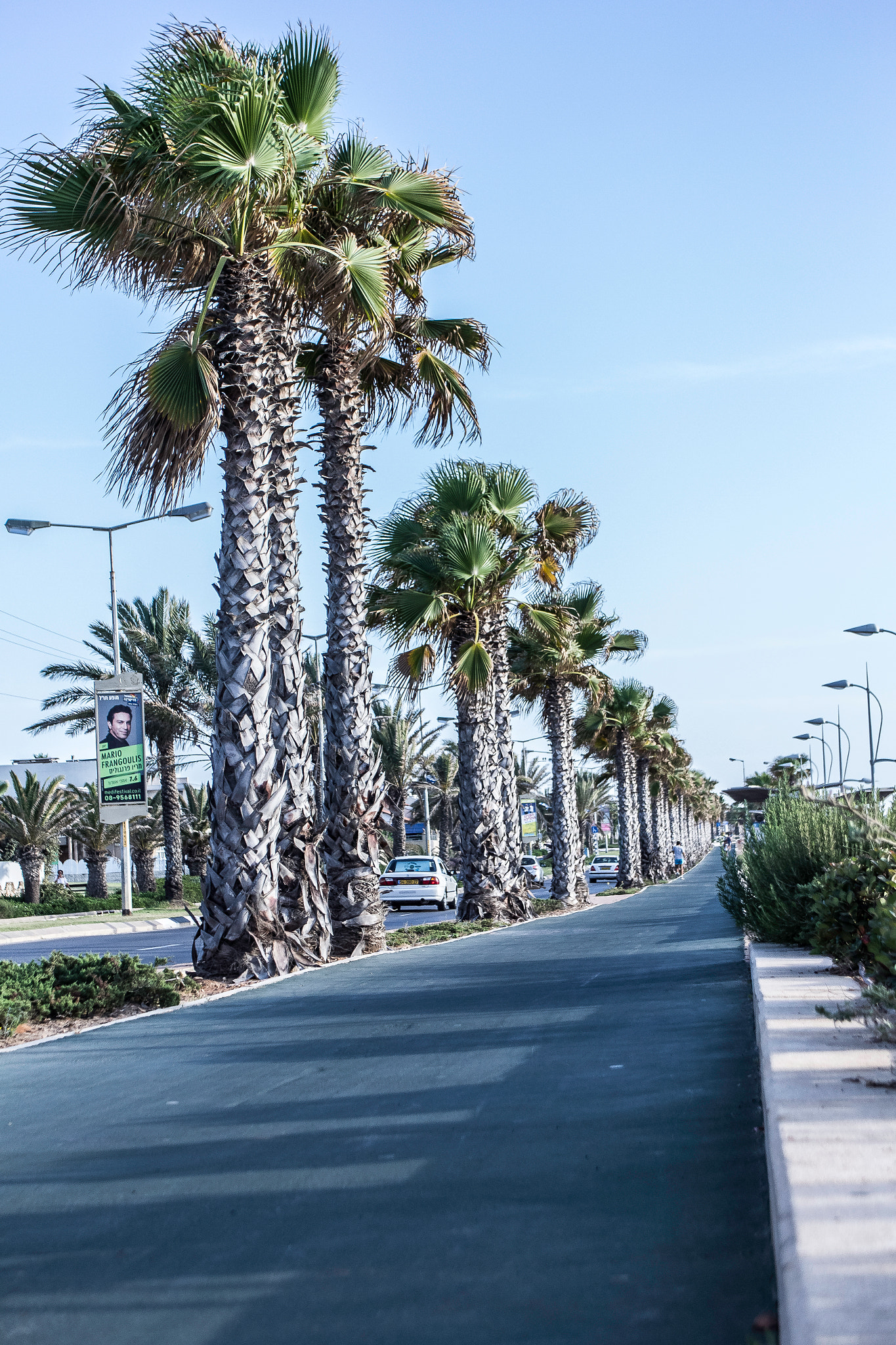 Sigma 18-50mm F2.8-4.5 DC OS HSM sample photo. Road&beach photography