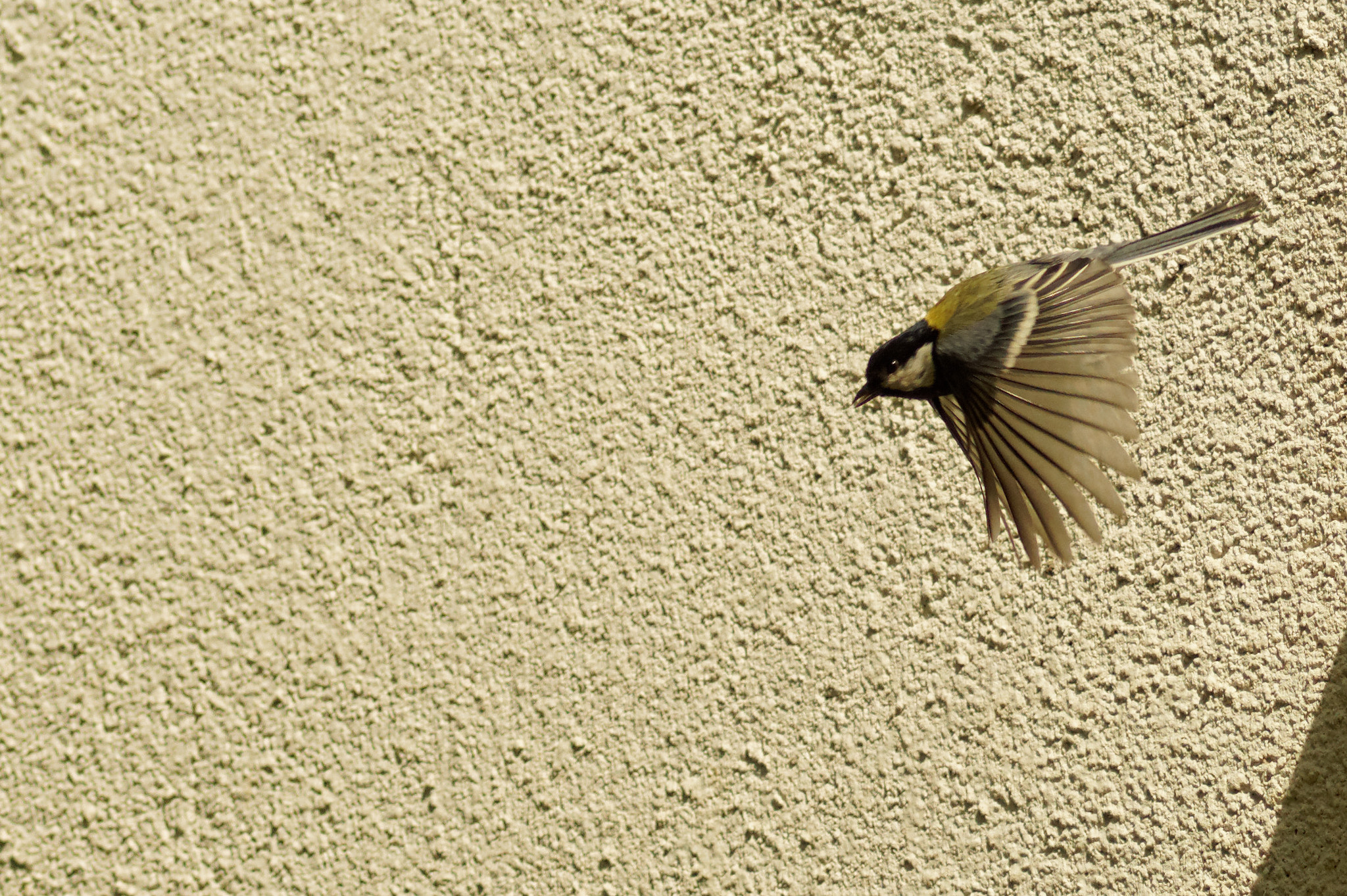 Sony SLT-A58 + Tamron AF 70-300mm F4-5.6 Di LD Macro sample photo. A phase of flight part 3 photography