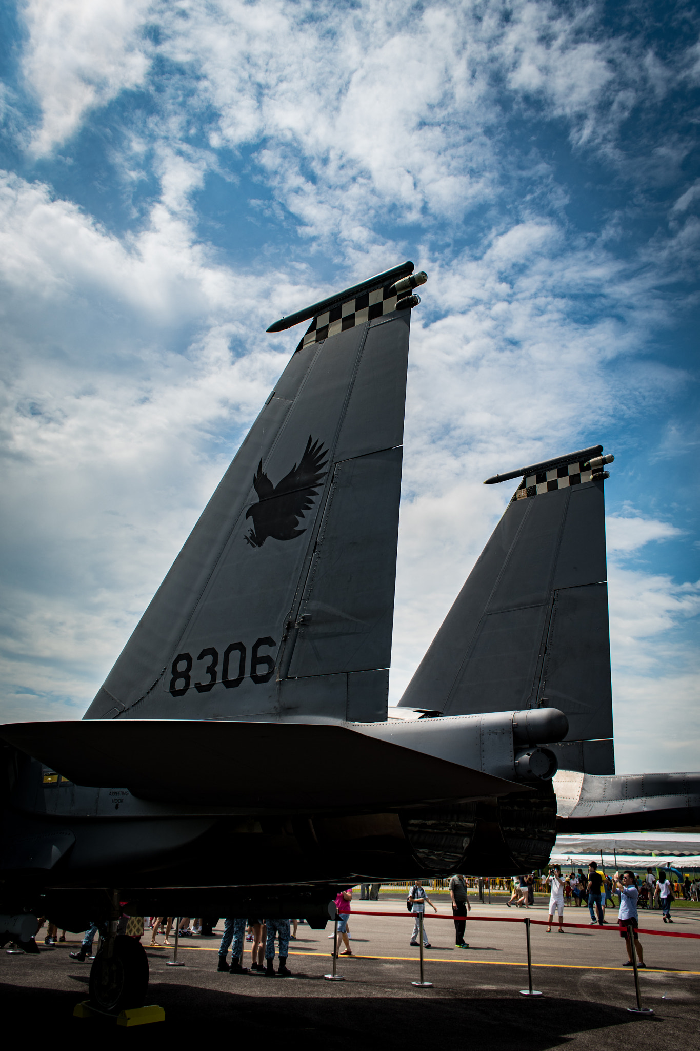 Nikon D500 sample photo. Tailfin photography