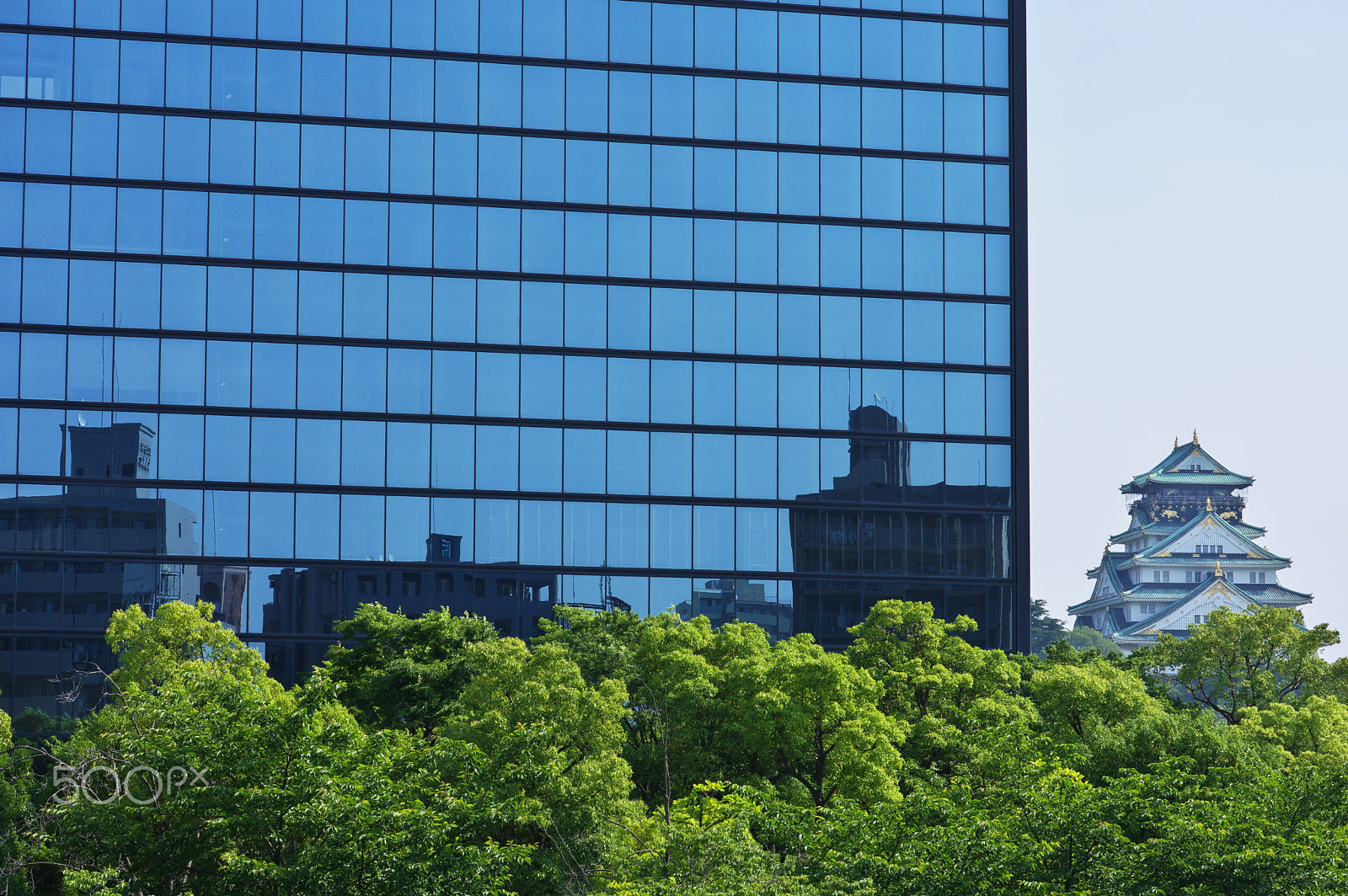 Pentax K-3 + HD Pentax DA 70mm F2.4 AL Limited sample photo. Osaka castles photography