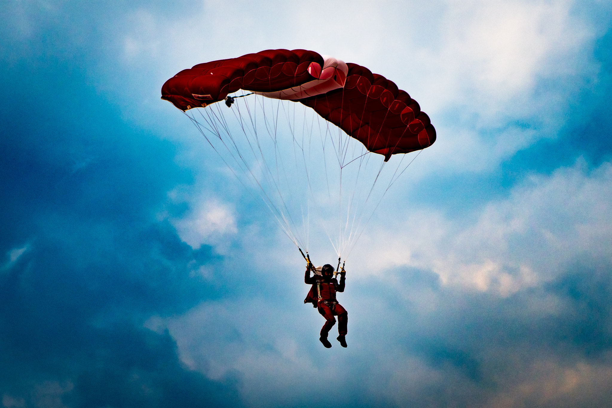 Nikon D500 sample photo. Floating down photography