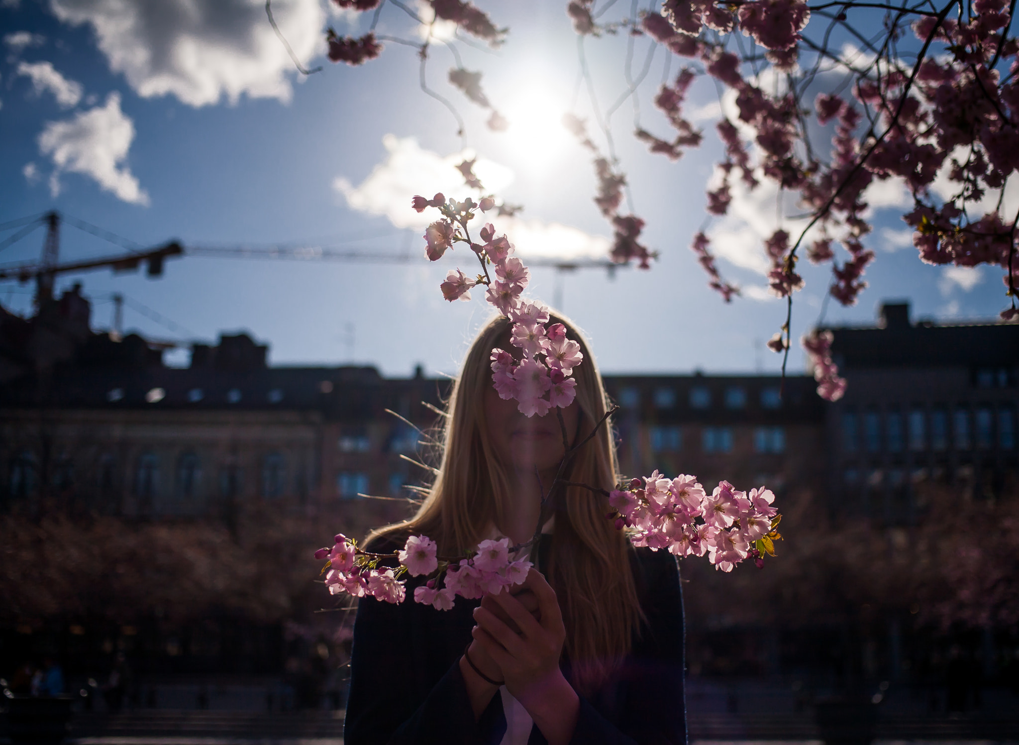 Canon EOS 5D sample photo. Cherry blossom photography