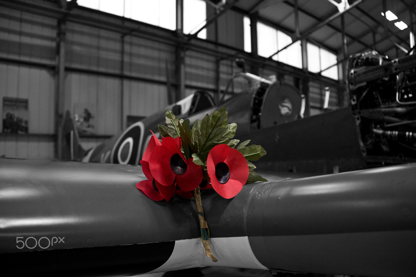 Canon EOS 40D sample photo. Never forgotten photography