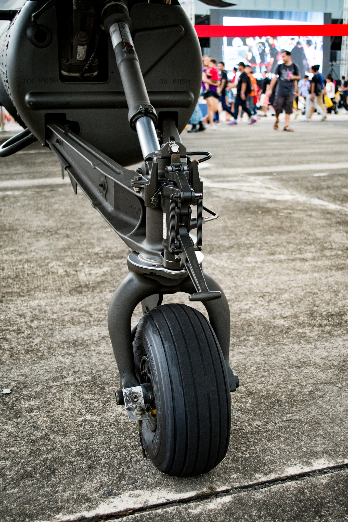 Nikon D500 sample photo