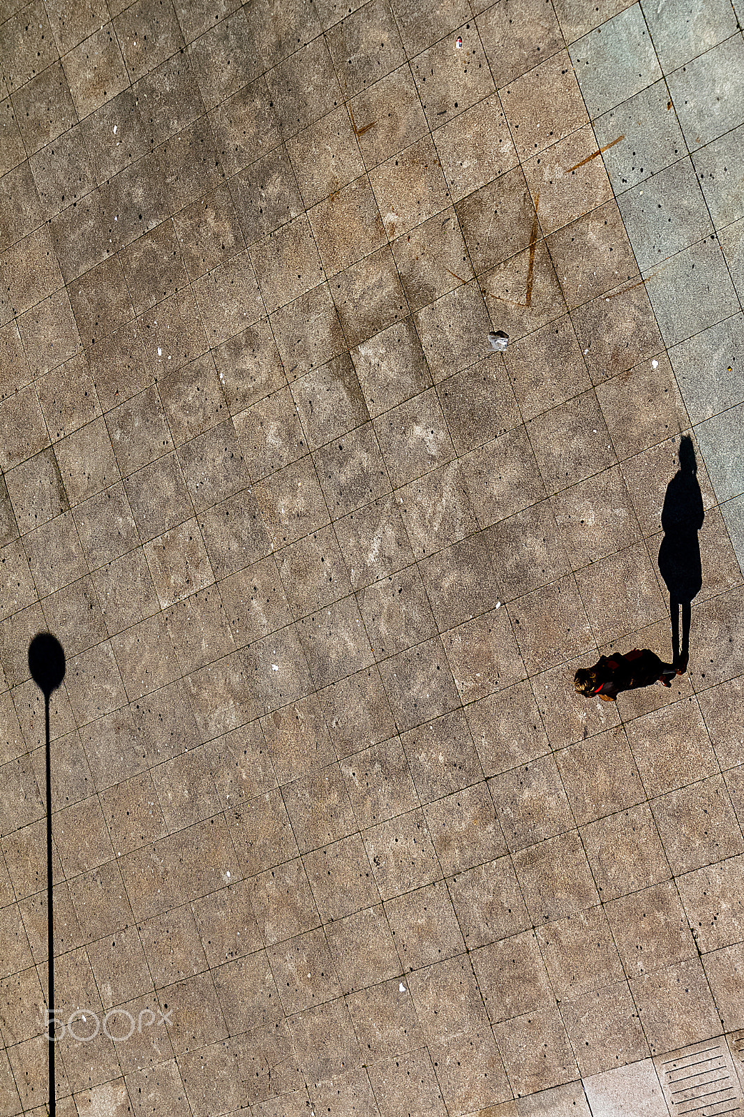 Canon EOS 500D (EOS Rebel T1i / EOS Kiss X3) sample photo. The elegance of the shadows. photography