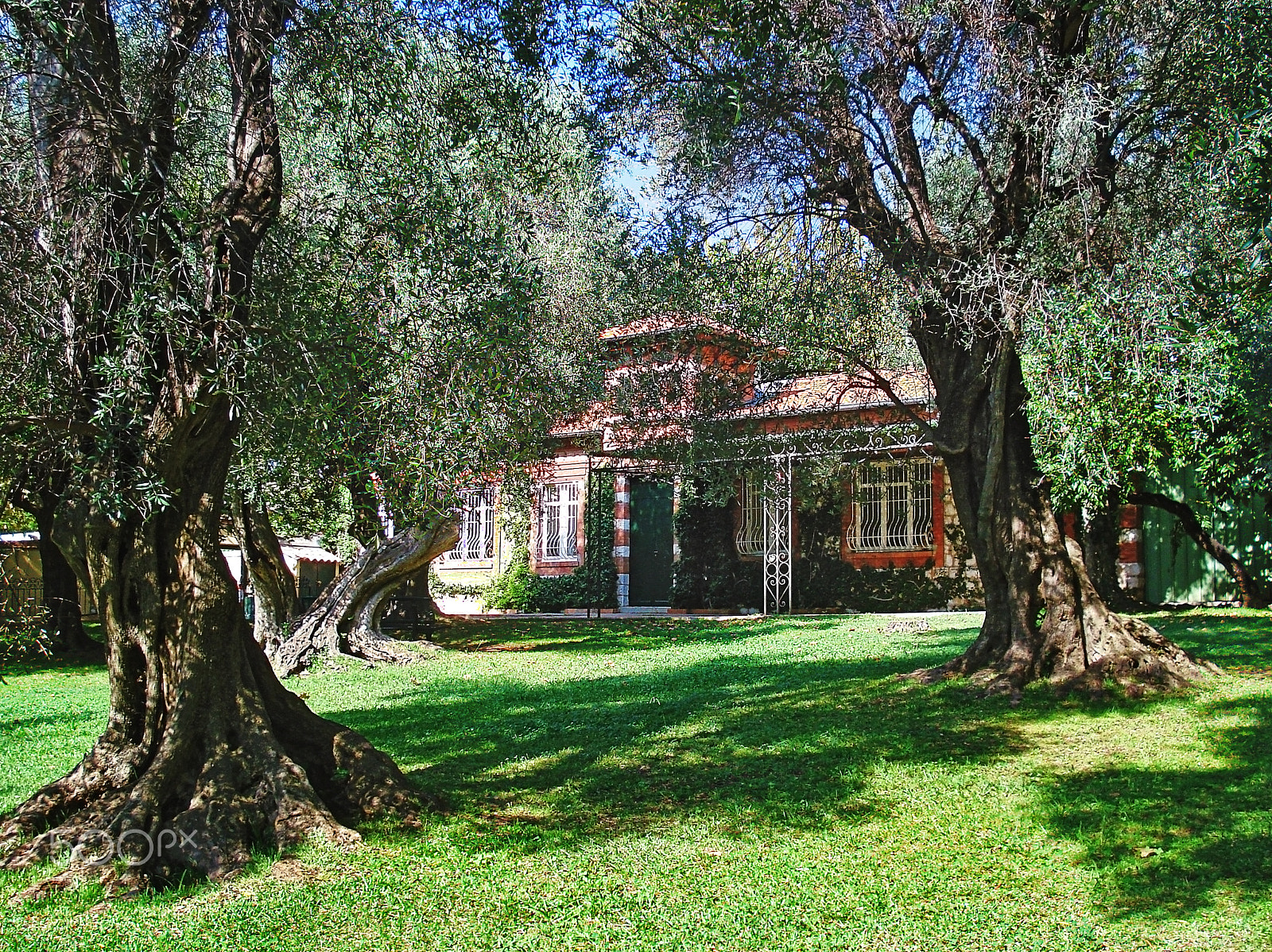 Sony DSC-W70 sample photo. Public olive garden and the former manor of  marinoni on jean br photography