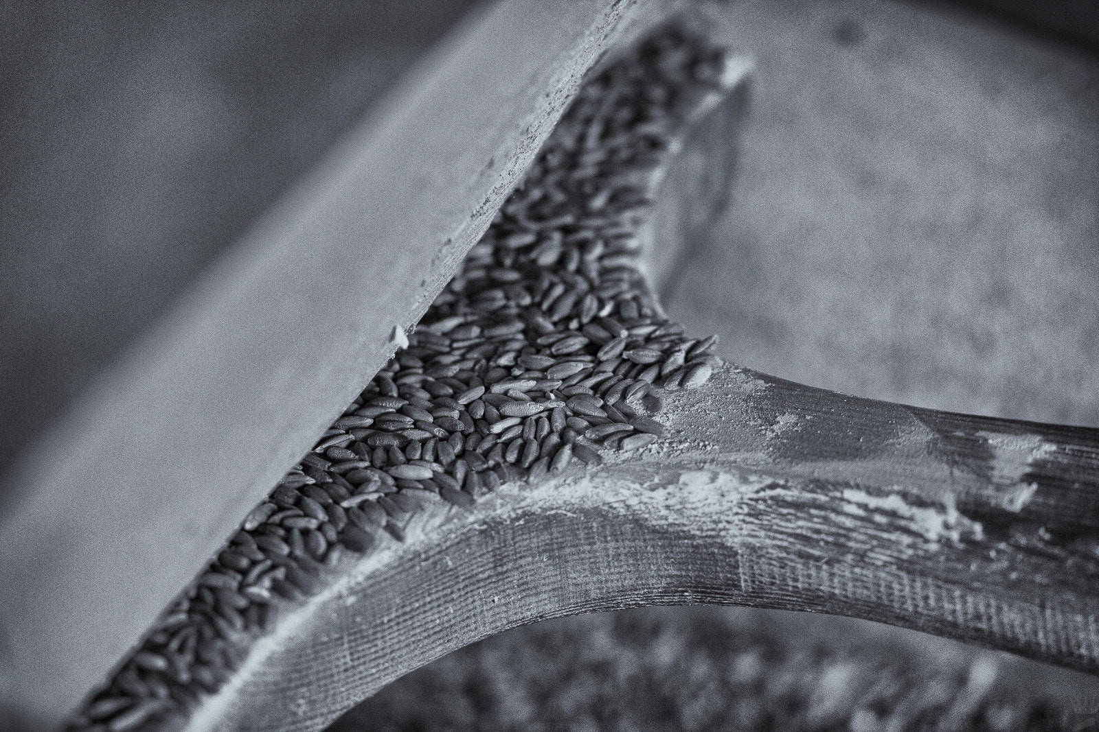 Sigma 105mm F2.8 EX DG OS HSM sample photo. Grains from the past photography