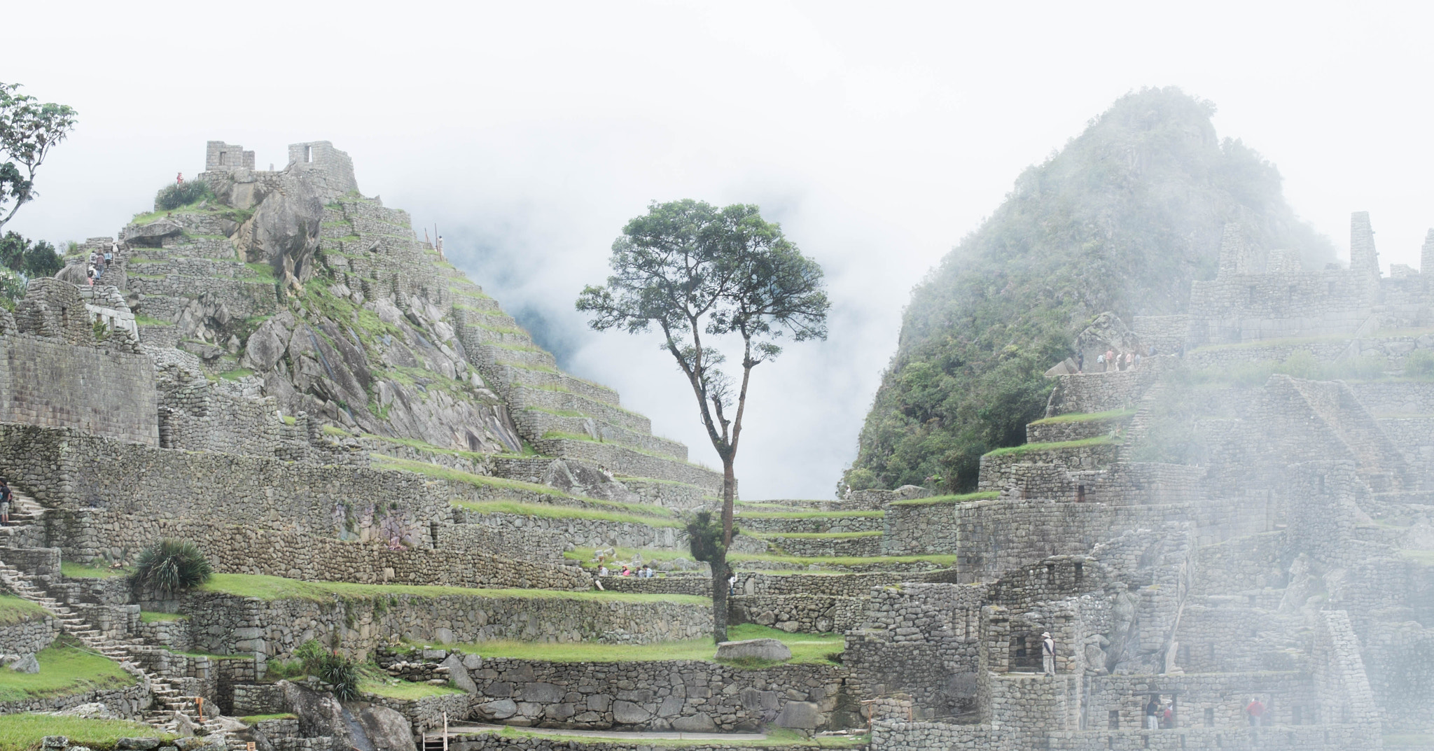 Fujifilm X-M1 + Fujifilm XC 50-230mm F4.5-6.7 OIS sample photo. Machu picchu during a foggy day photography