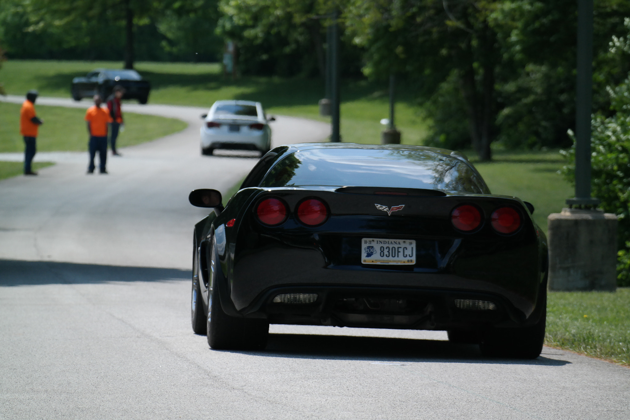 Samsung NX30 + NX 50-200mm F4-5.6 sample photo. Black vette photography