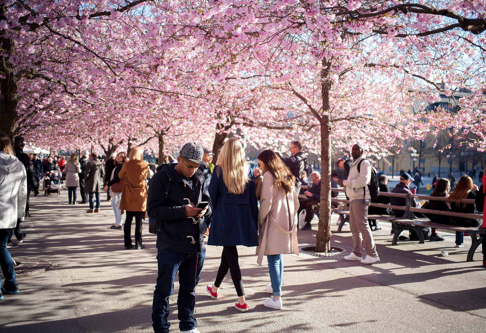 Canon EOS 5D sample photo. Pink alley photography