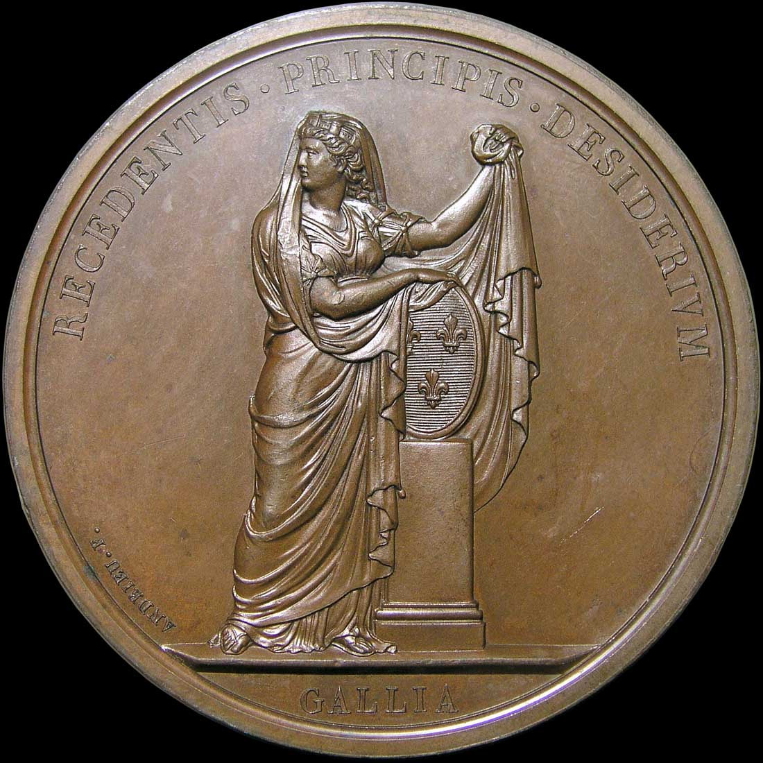 Olympus C5050Z sample photo. 1815 louis xviii leaves paris, france. 50mm, copper obverse photography
