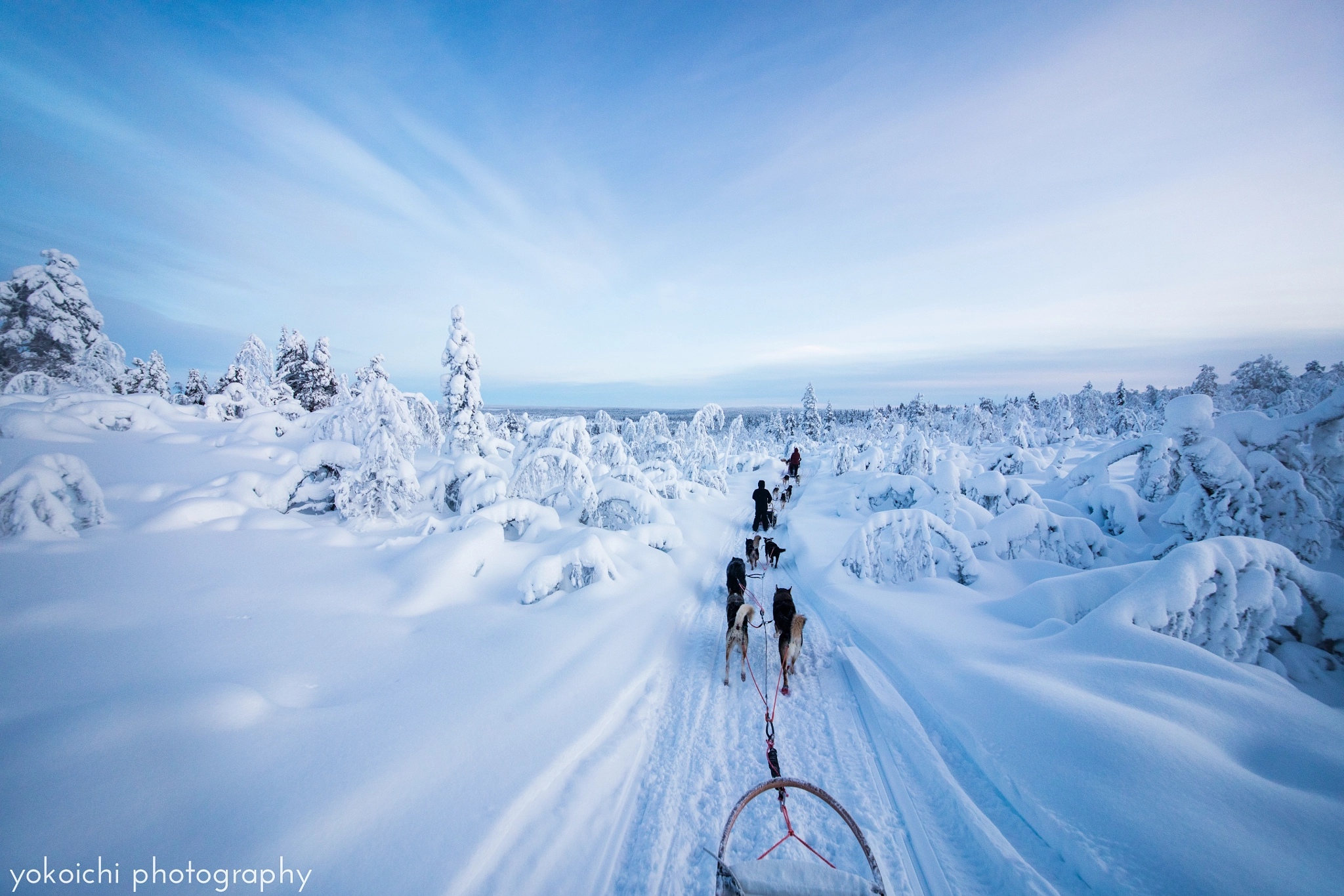 Canon EOS 5DS + Sigma 12-24mm F4.5-5.6 II DG HSM sample photo. Arctic mushing photography