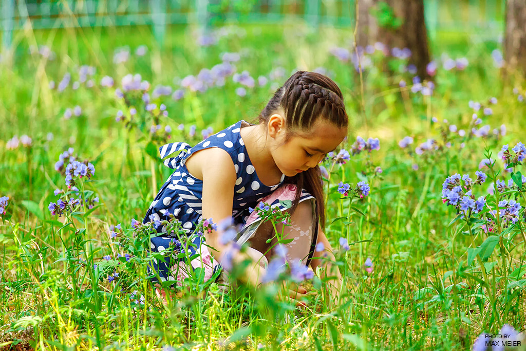 Canon EOS-1D Mark II sample photo. *** photography