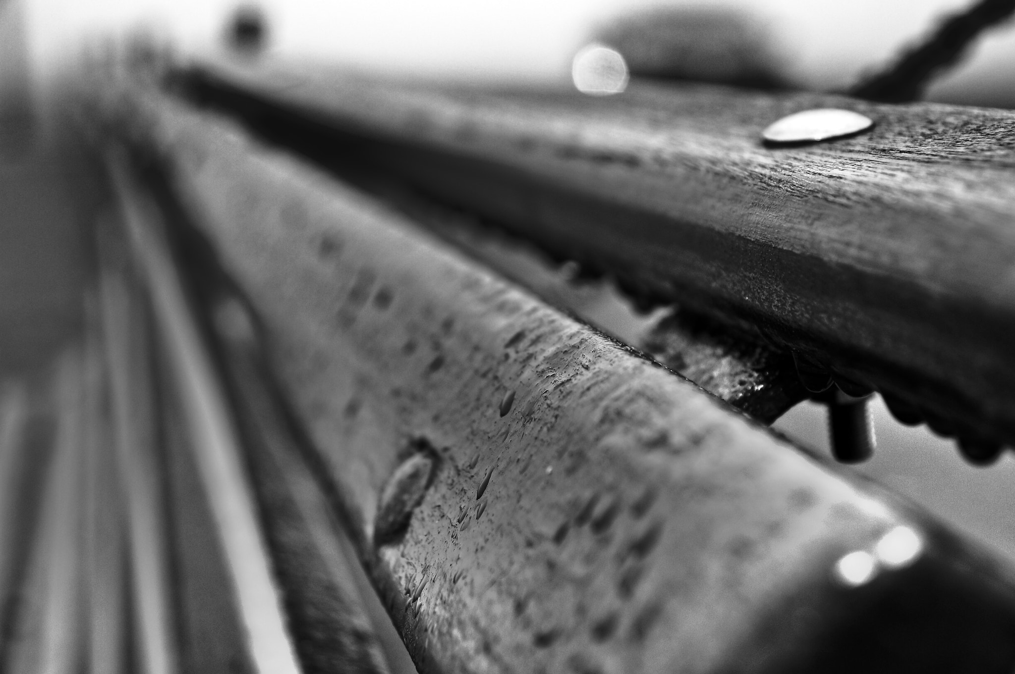 Sony SLT-A57 + Tamron Lens (255) sample photo. Bw photography
