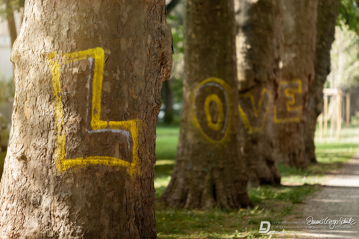 Canon EF 180mm F3.5L Macro USM sample photo. L o v e photography