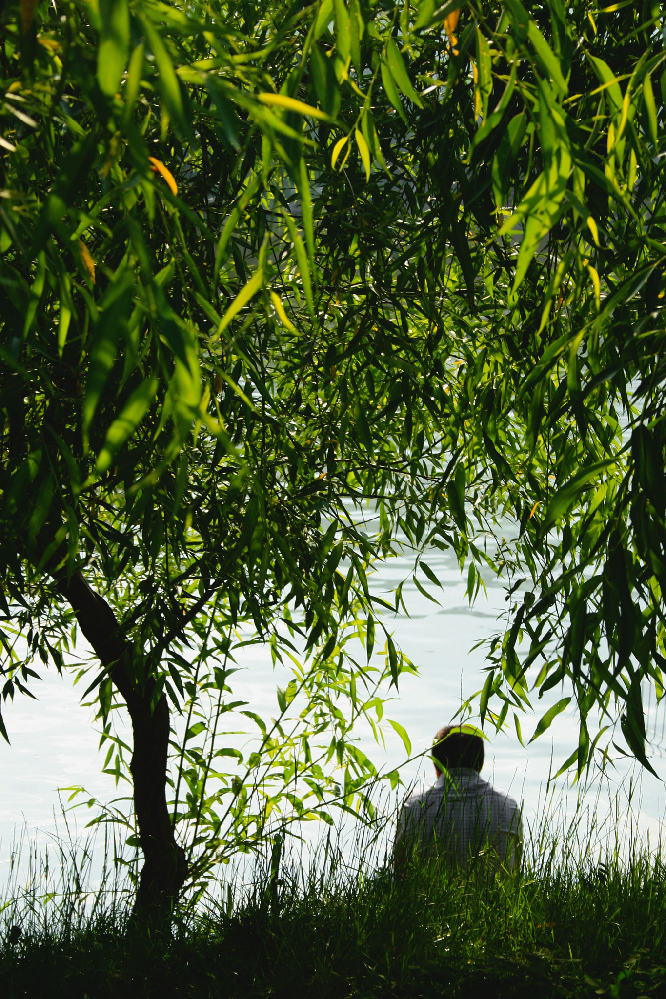 Canon EF-S 18-55mm F3.5-5.6 sample photo. Kill nothing but time in nature photography