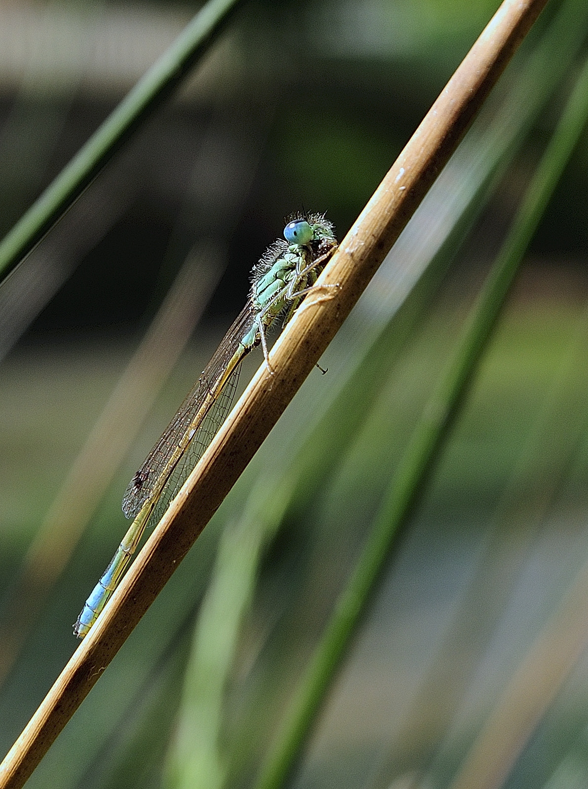 Nikon D3X sample photo. _d3x1497_2.jpg photography