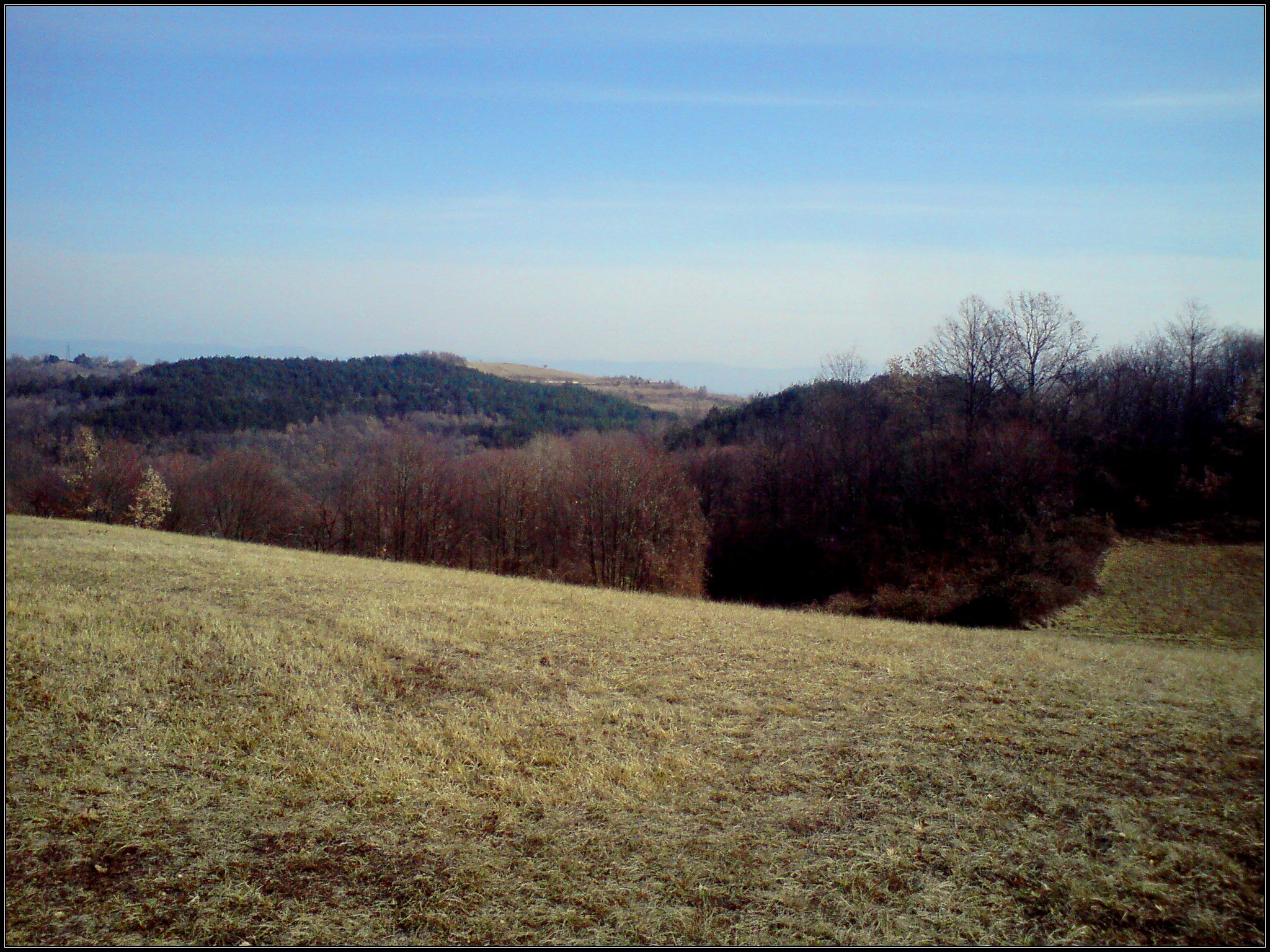 Sony Ericsson C510 sample photo. Autumn in my backyard.jpg photography