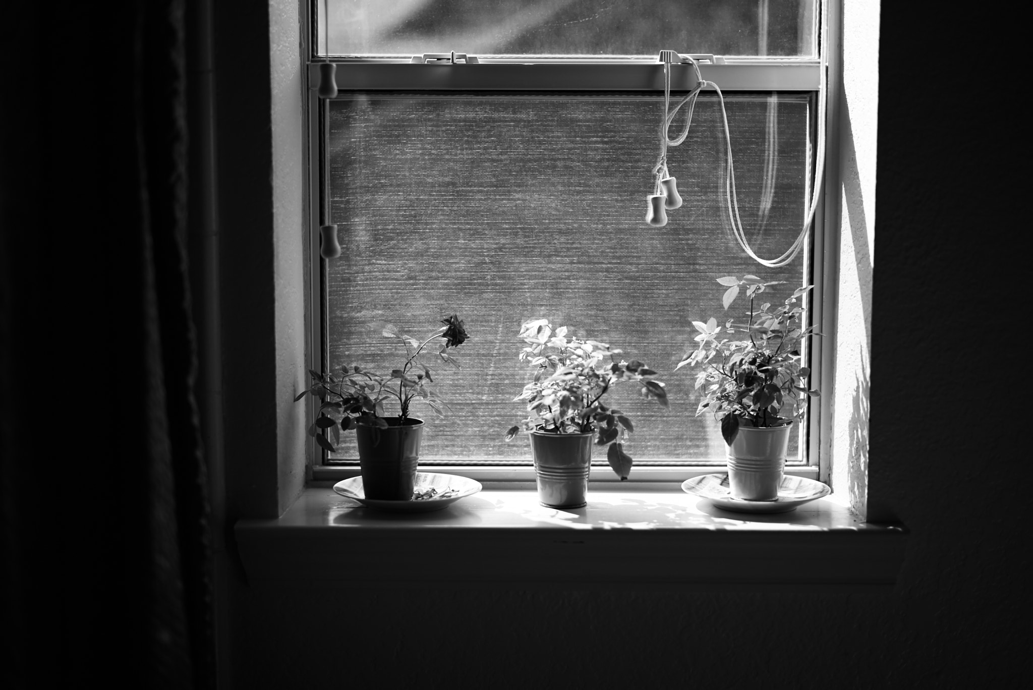 Leica M (Typ 262) sample photo. L1001418.jpg photography