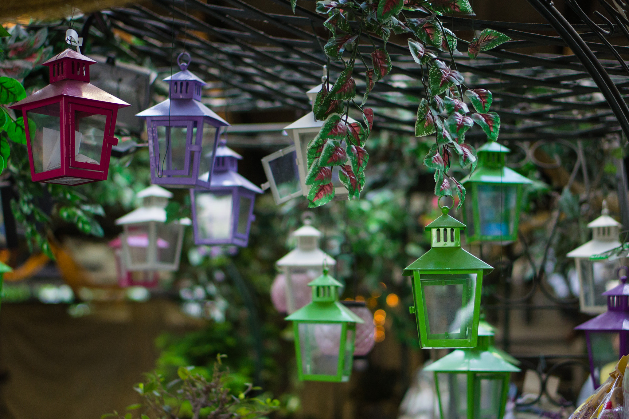 Sony Alpha NEX-3 + E 50mm F1.8 OSS sample photo. Lanterns photography