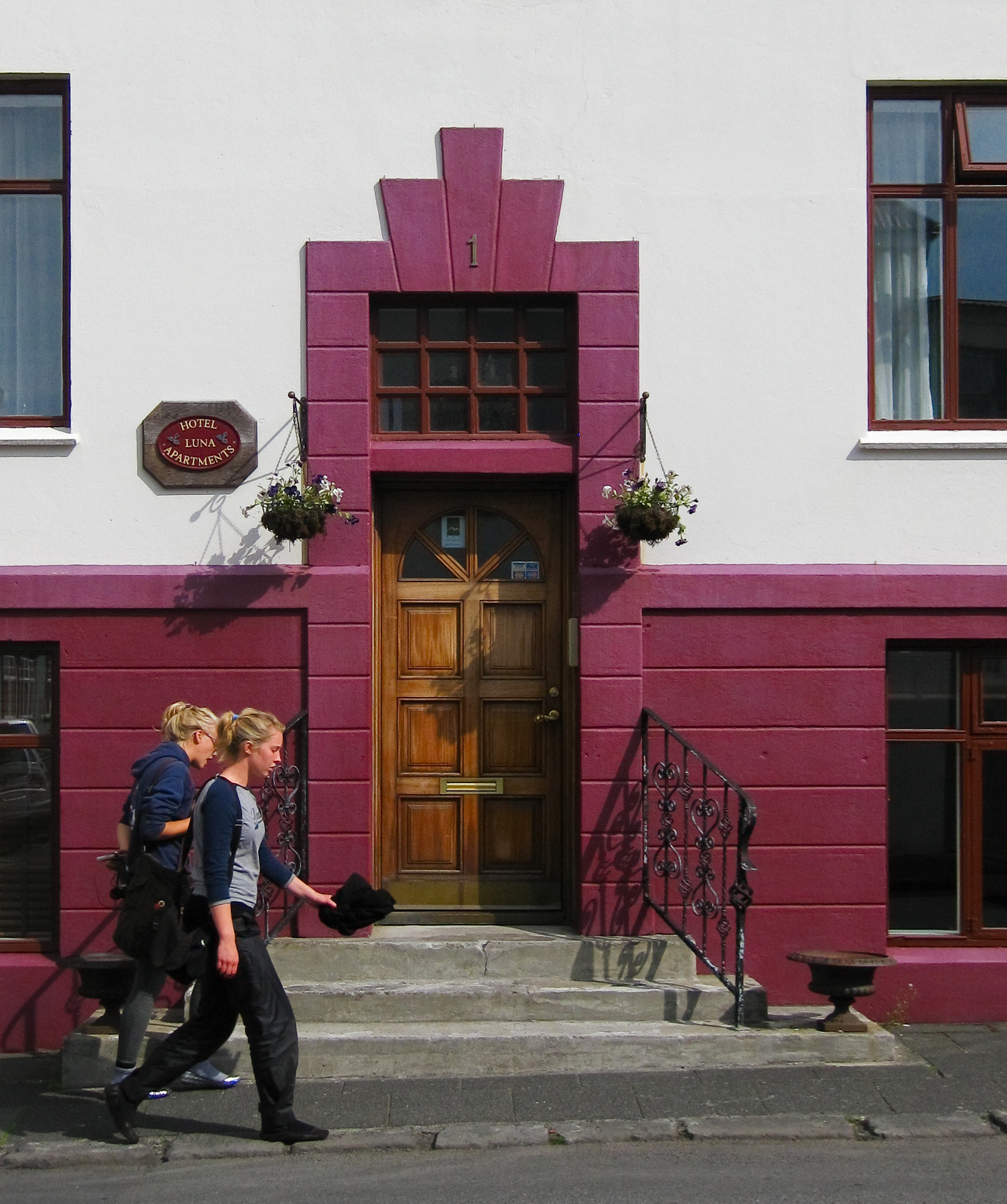 Canon PowerShot SD790 IS (Digital IXUS 90 IS / IXY Digital 95 IS) sample photo. A purple door in reykjavik photography