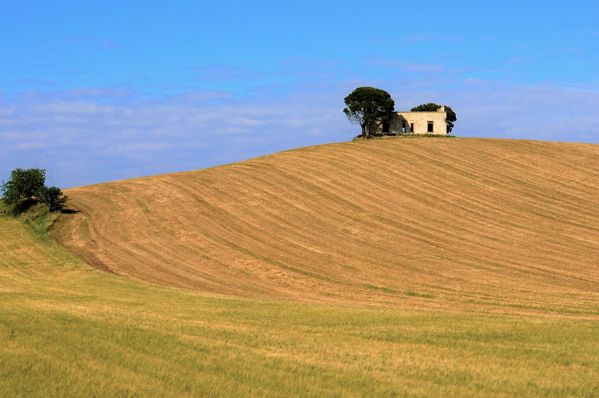 Sony FE 28-70mm F3.5-5.6 OSS sample photo. Casetta con alberello sulla collina photography
