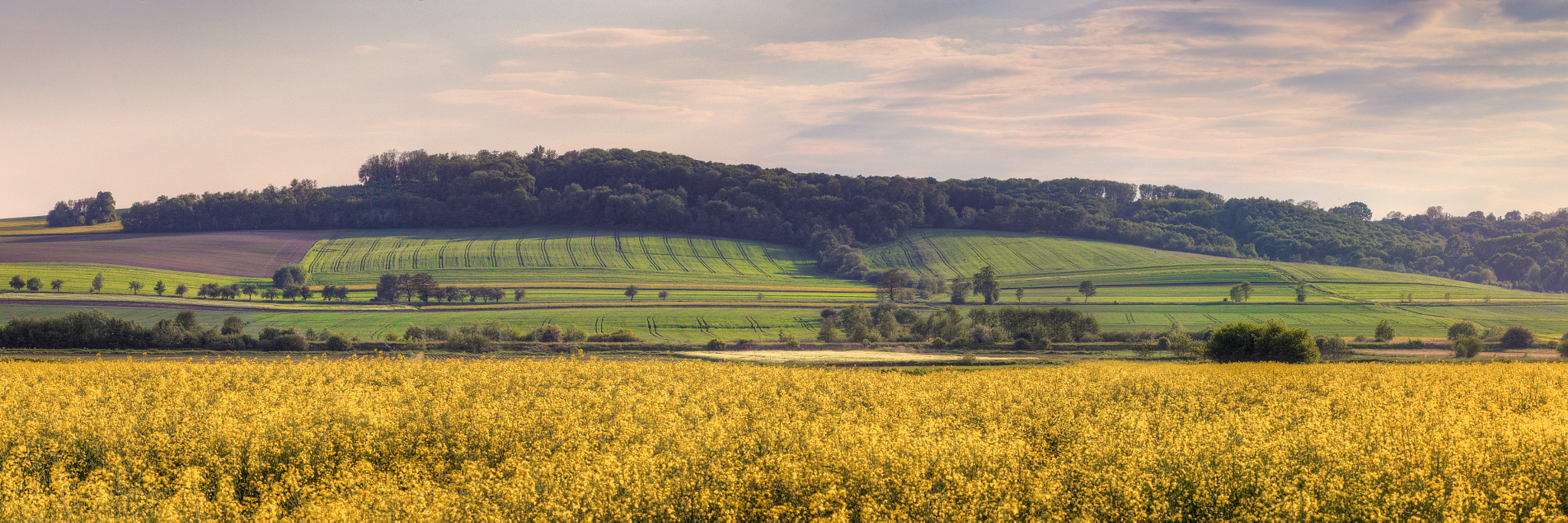 Pentax K-5 sample photo. Hills and tracks photography