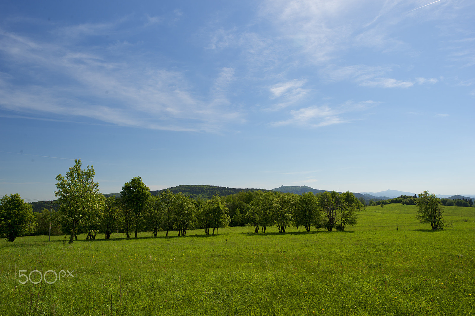 Nikon Df + Nikon AF-S Nikkor 24mm F1.8G ED sample photo. _dsc4930.jpg photography