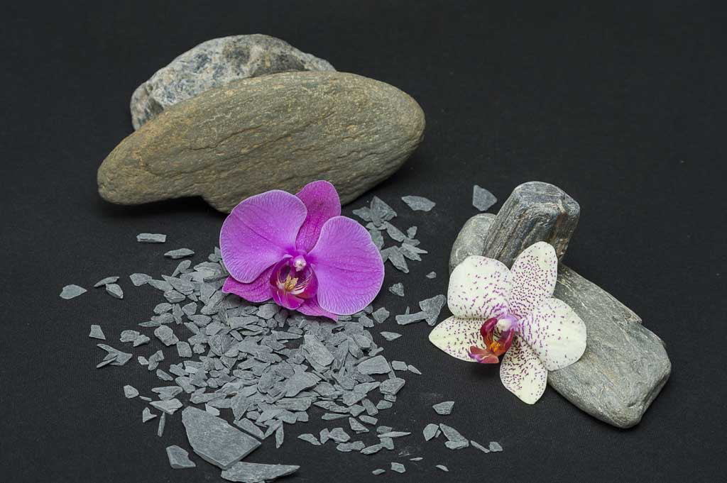 Pentax smc DA 55-300mm F4.0-5.8 ED sample photo. Orchidée prenant la pose photography