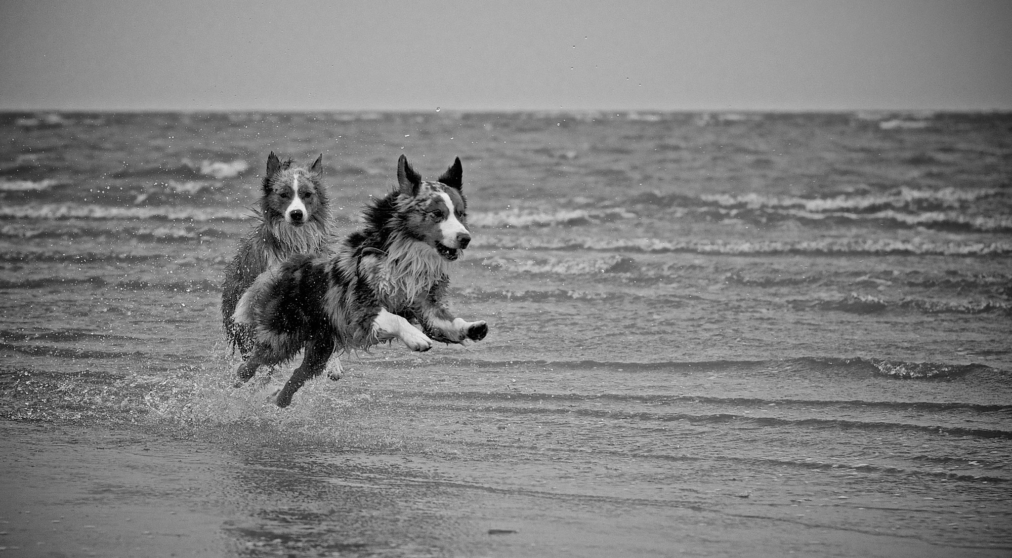 Pentax smc FA 77mm 1.8 Limited sample photo. Beachfun photography