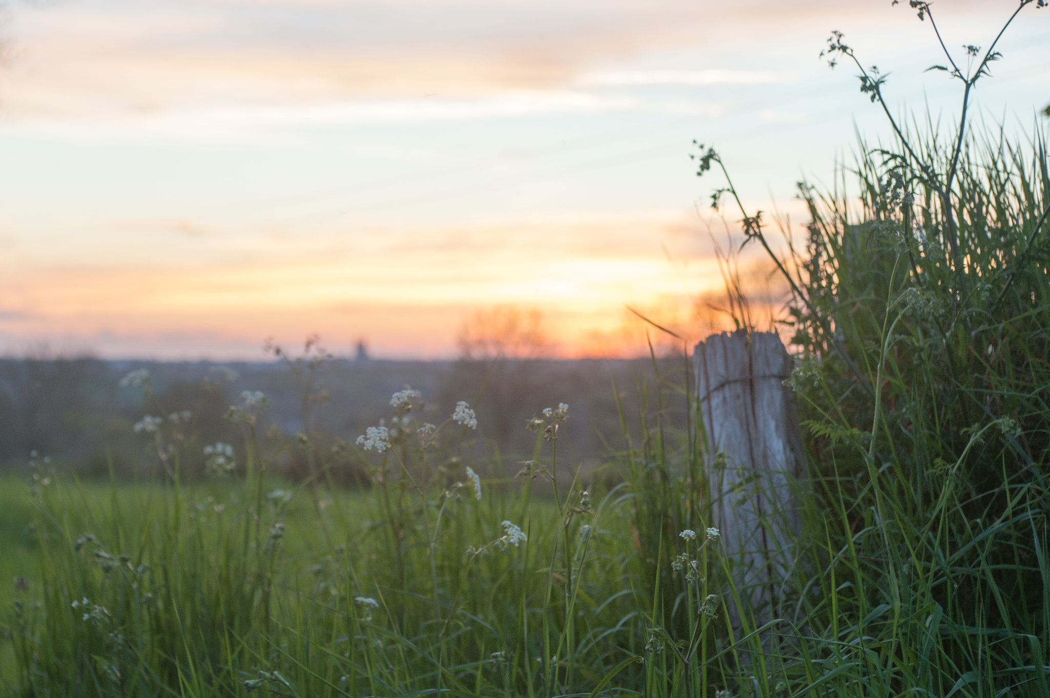 Nikon D700 + AF Zoom-Nikkor 35-70mm f/2.8D sample photo. A field entry in the sunset photography