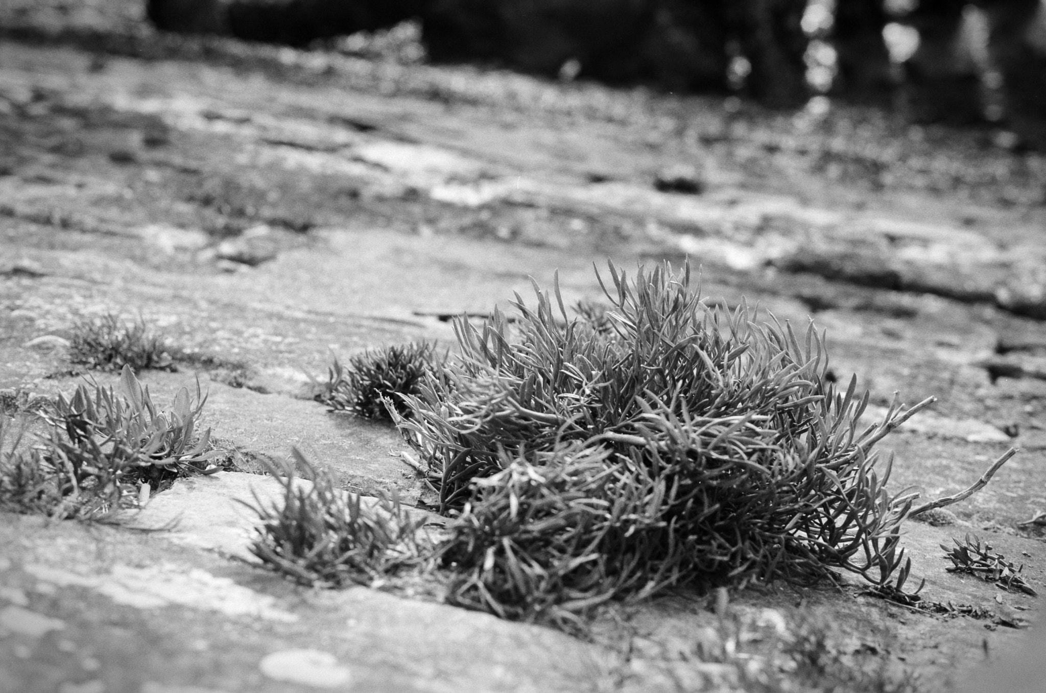 Canon EF 100mm F2.8 Macro USM sample photo. Down by the harbour photography