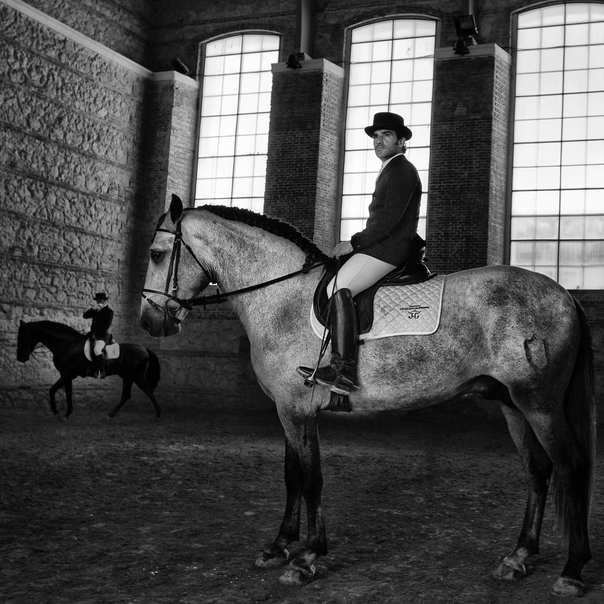 Nikon AF-S Nikkor 17-35mm F2.8D ED-IF sample photo. Horses of cordoba photography