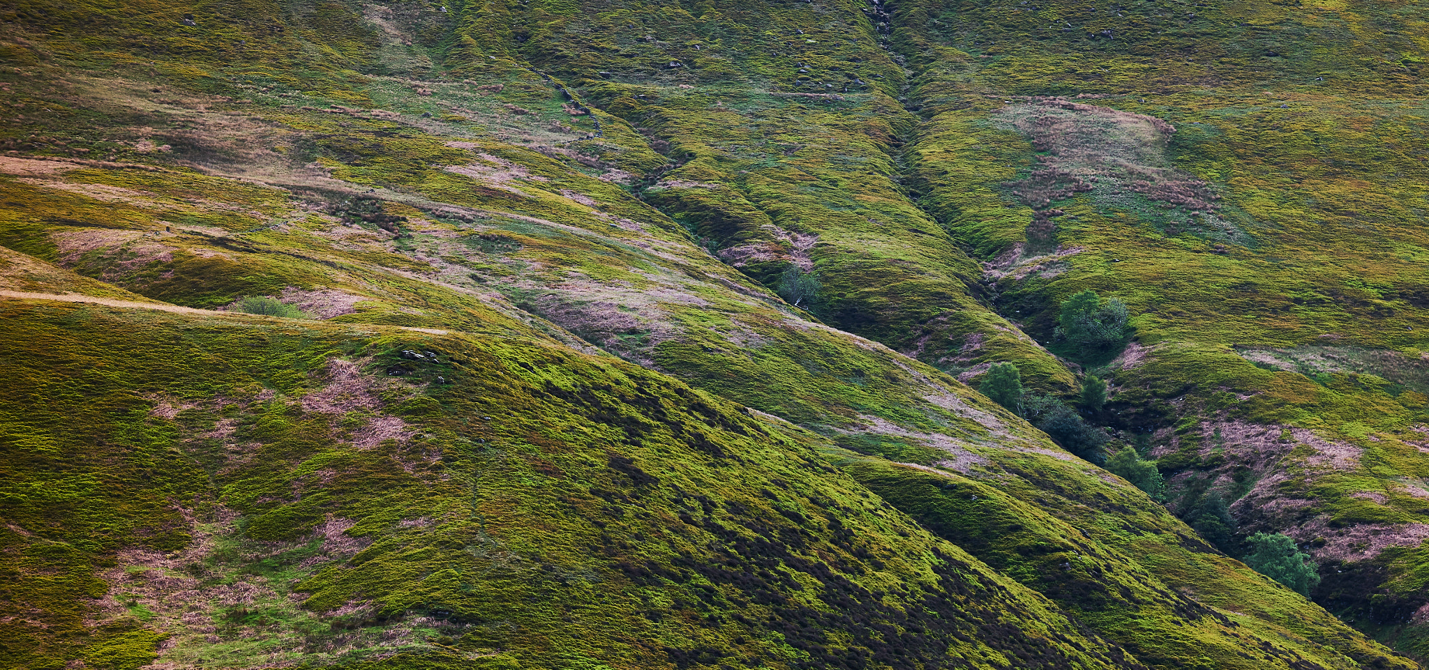 Tamron SP 70-300mm F4-5.6 Di USD sample photo. Snake pass mountains photography