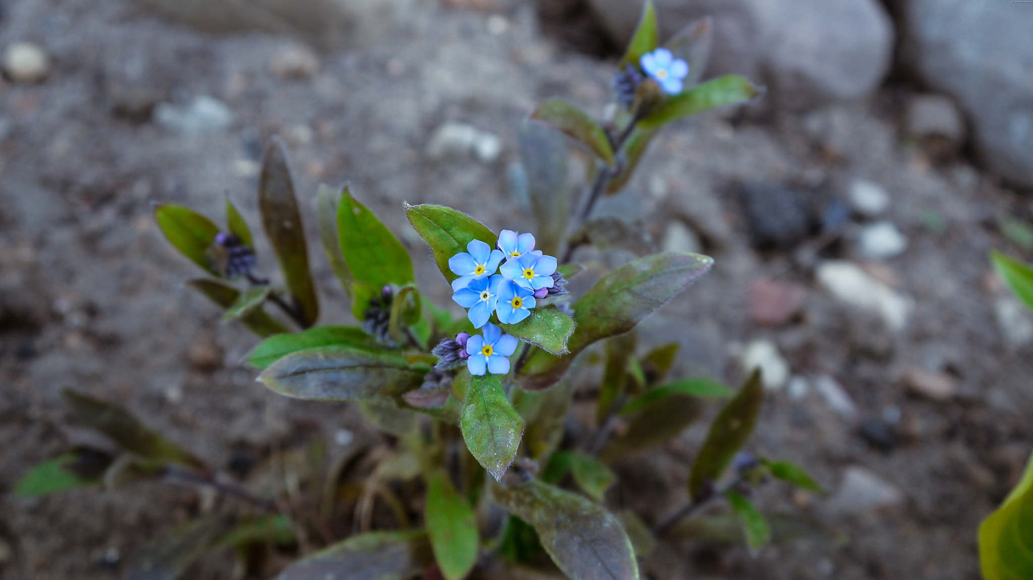 Panasonic Lumix DMC-GF3 sample photo. _1160716.jpg photography
