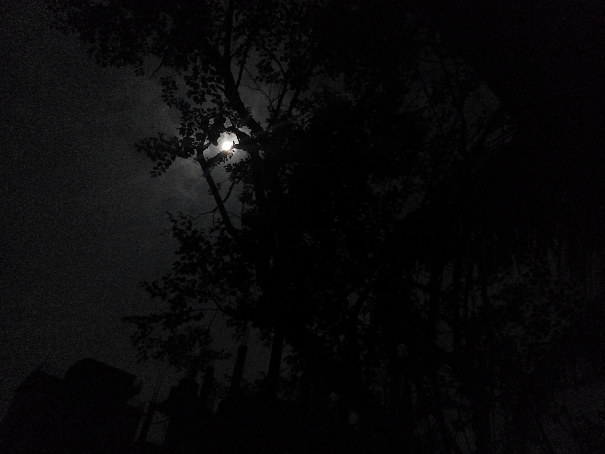 OPPO 1201 sample photo. Moonlight  photography