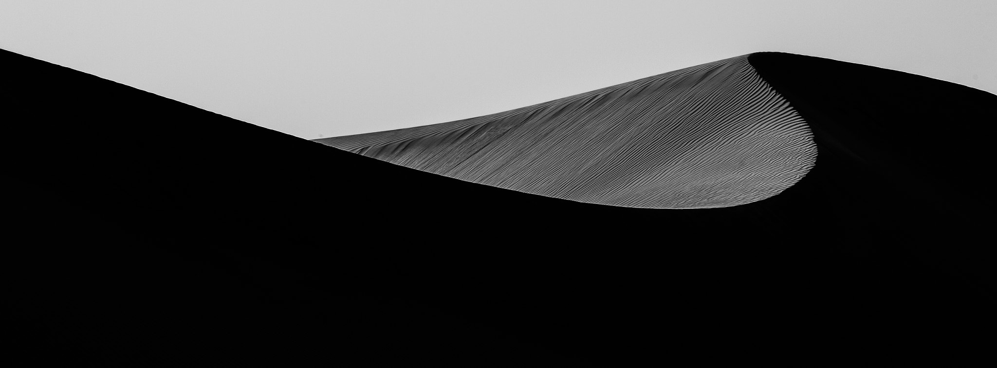 Sigma 150-600mm F5-6.3 DG OS HSM | S sample photo. The black wave photography