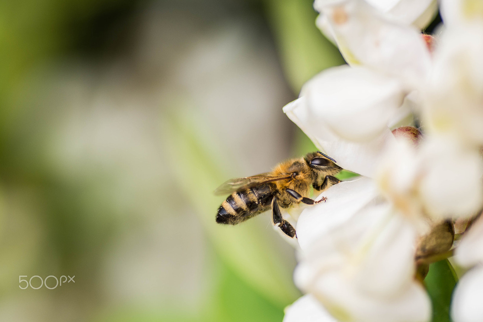 Nikon D600 sample photo. I´m working photography