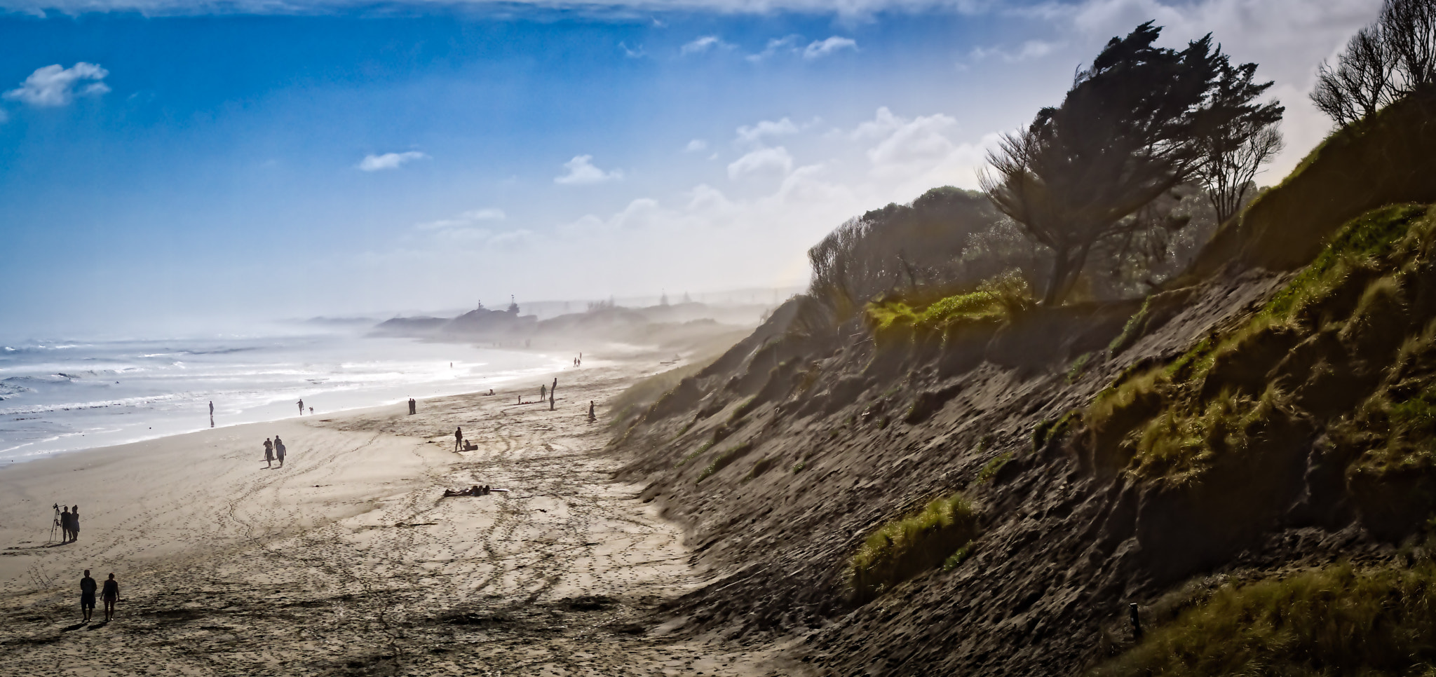 Canon EOS M3 + Canon EF 50mm F1.4 USM sample photo. Muriwai beach new zealand photography