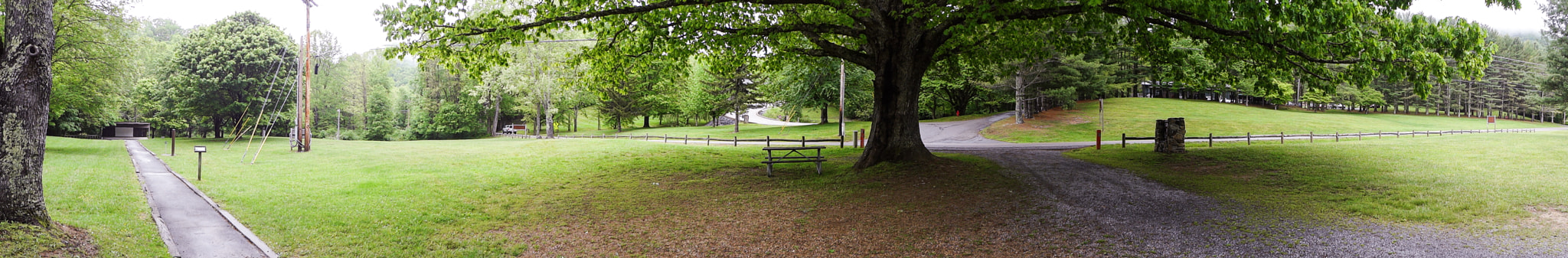 Sony DSC-WX9 sample photo. Roan mountian photography