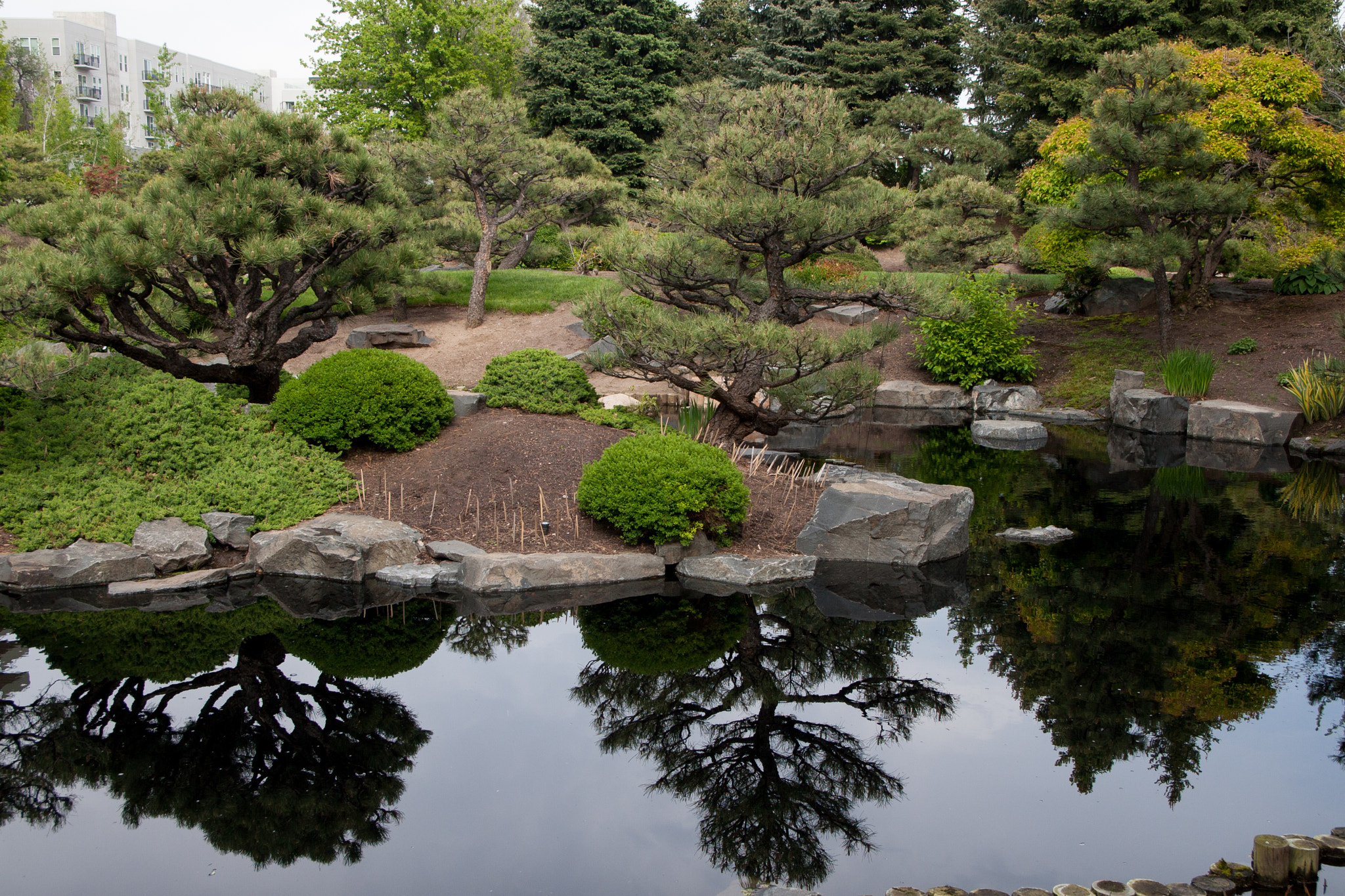 Canon EOS 30D sample photo. Japanese garden stroll - denver botanical gardens photography