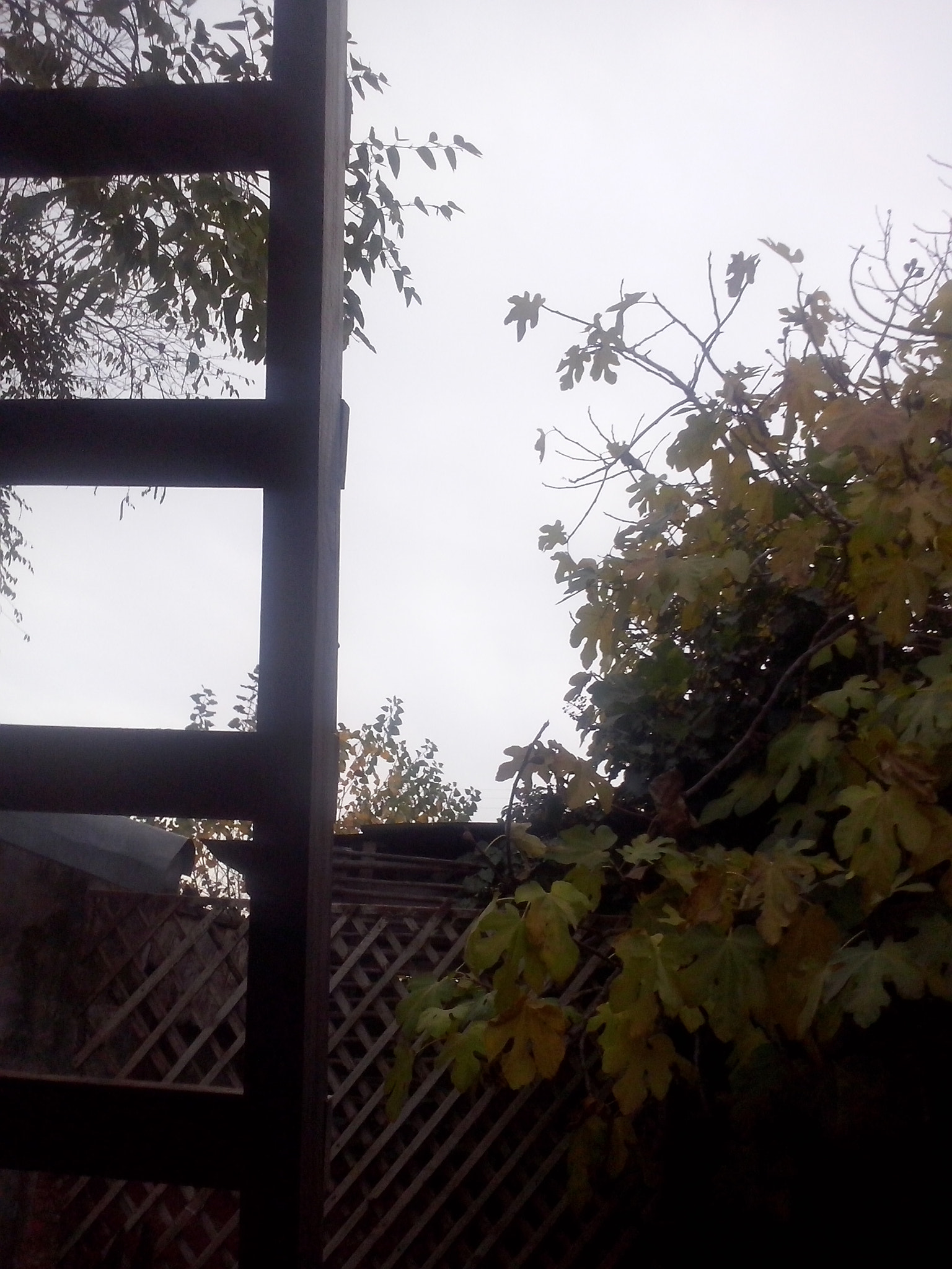 LG OPTIMUS L5 II sample photo. Good stairs photography