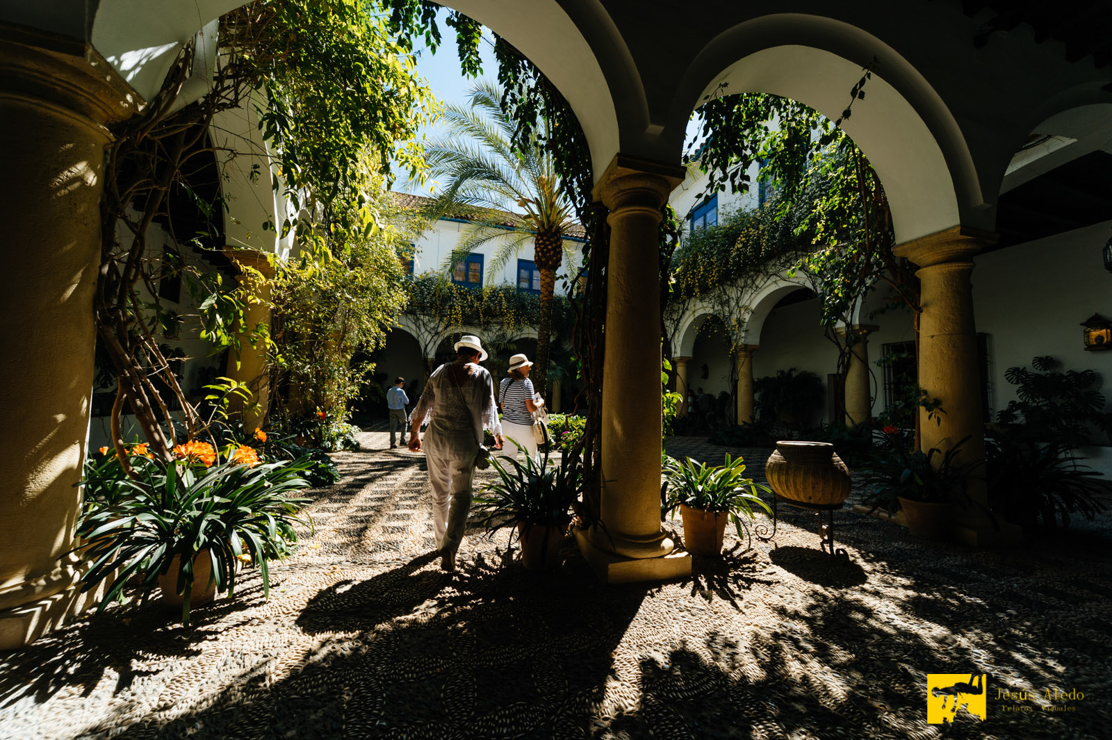 Nikon Df + Sigma 12-24mm F4.5-5.6 EX DG Aspherical HSM sample photo. "andalusian patio" photography