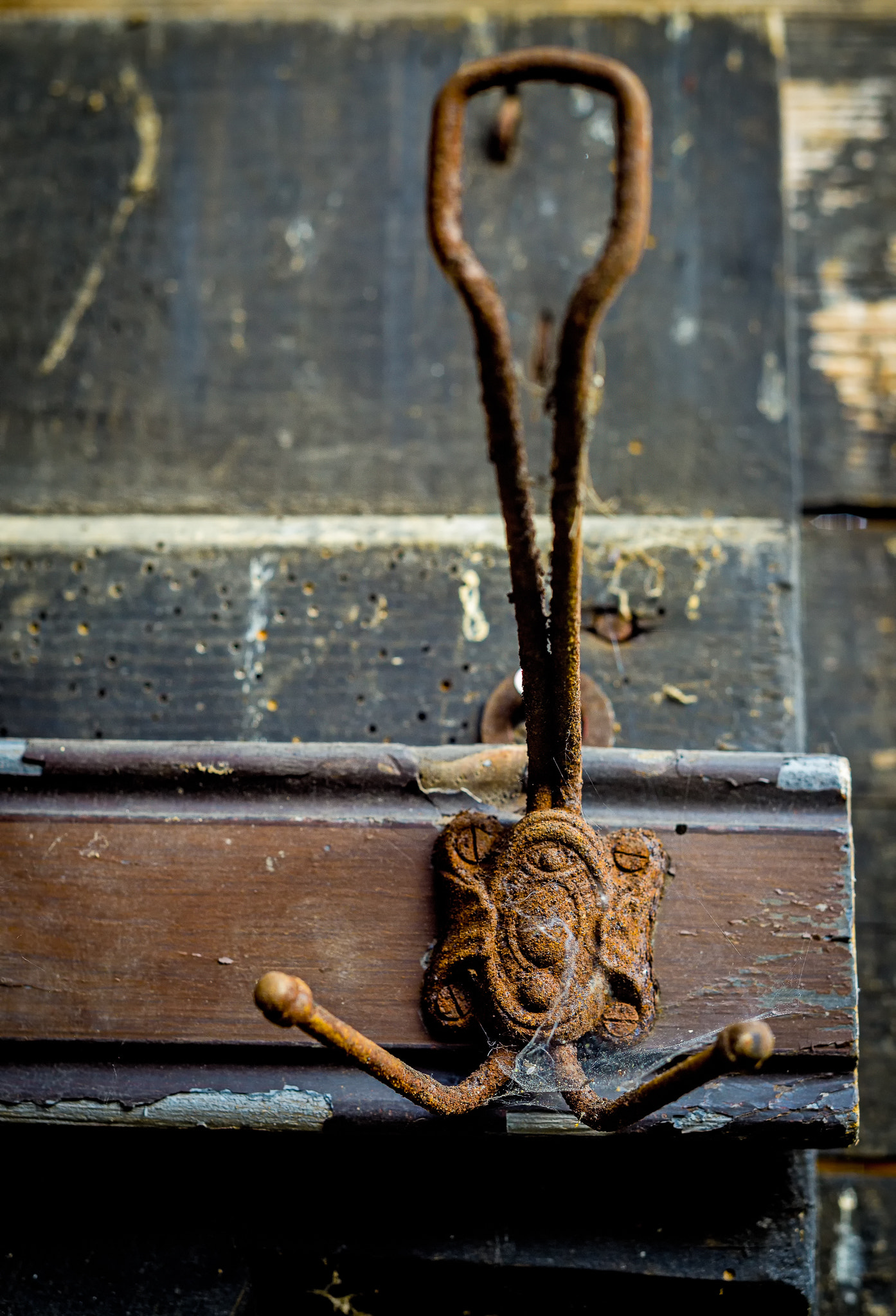 Nikon D800 + AF Nikkor 50mm f/1.8 sample photo. Rust on hook photography