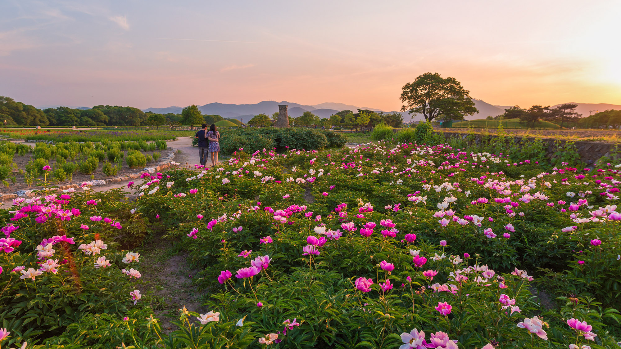 Sigma 20mm EX f/1.8 sample photo. Gyeongju photography