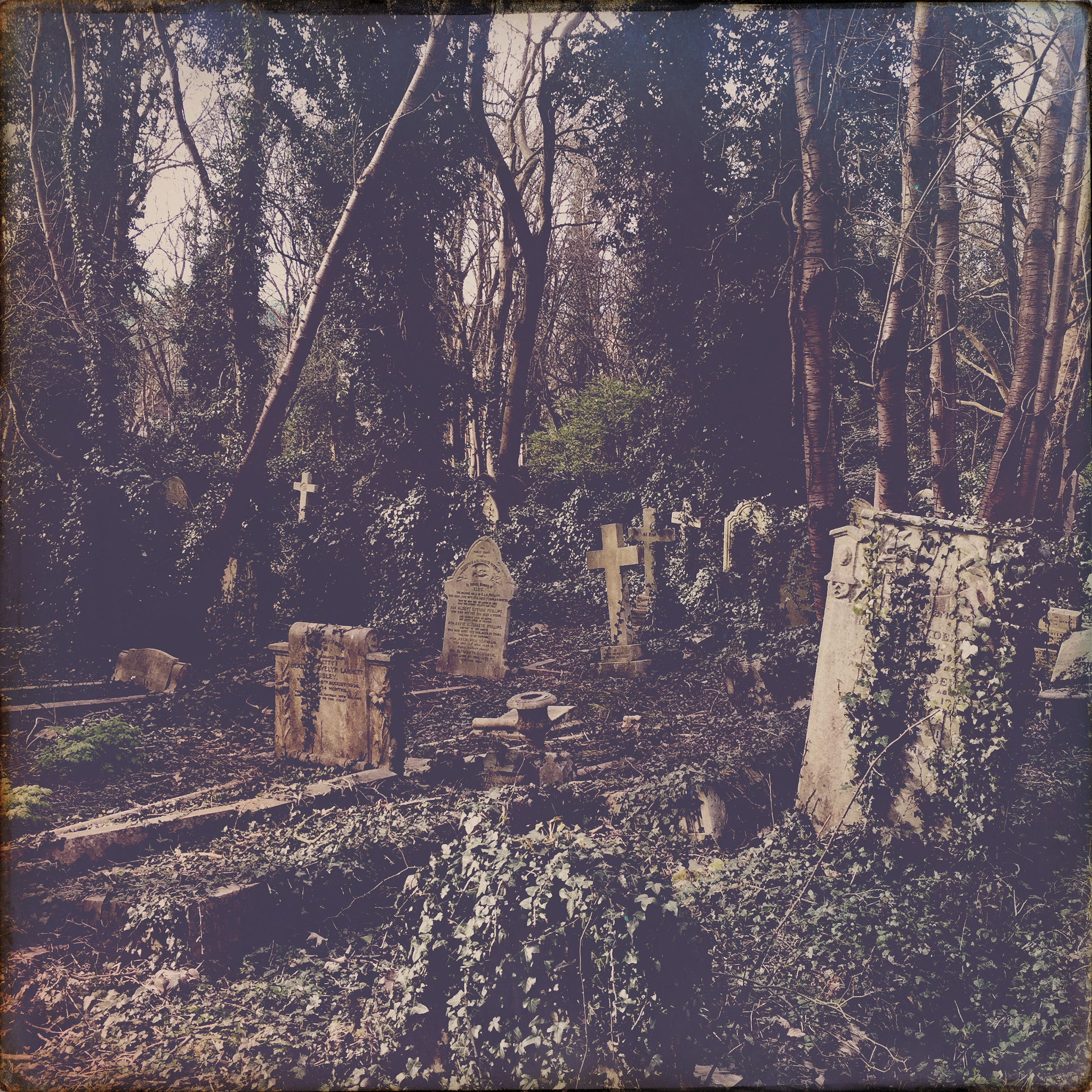 Hipstamatic 312 sample photo. Highgate cemetery. photography