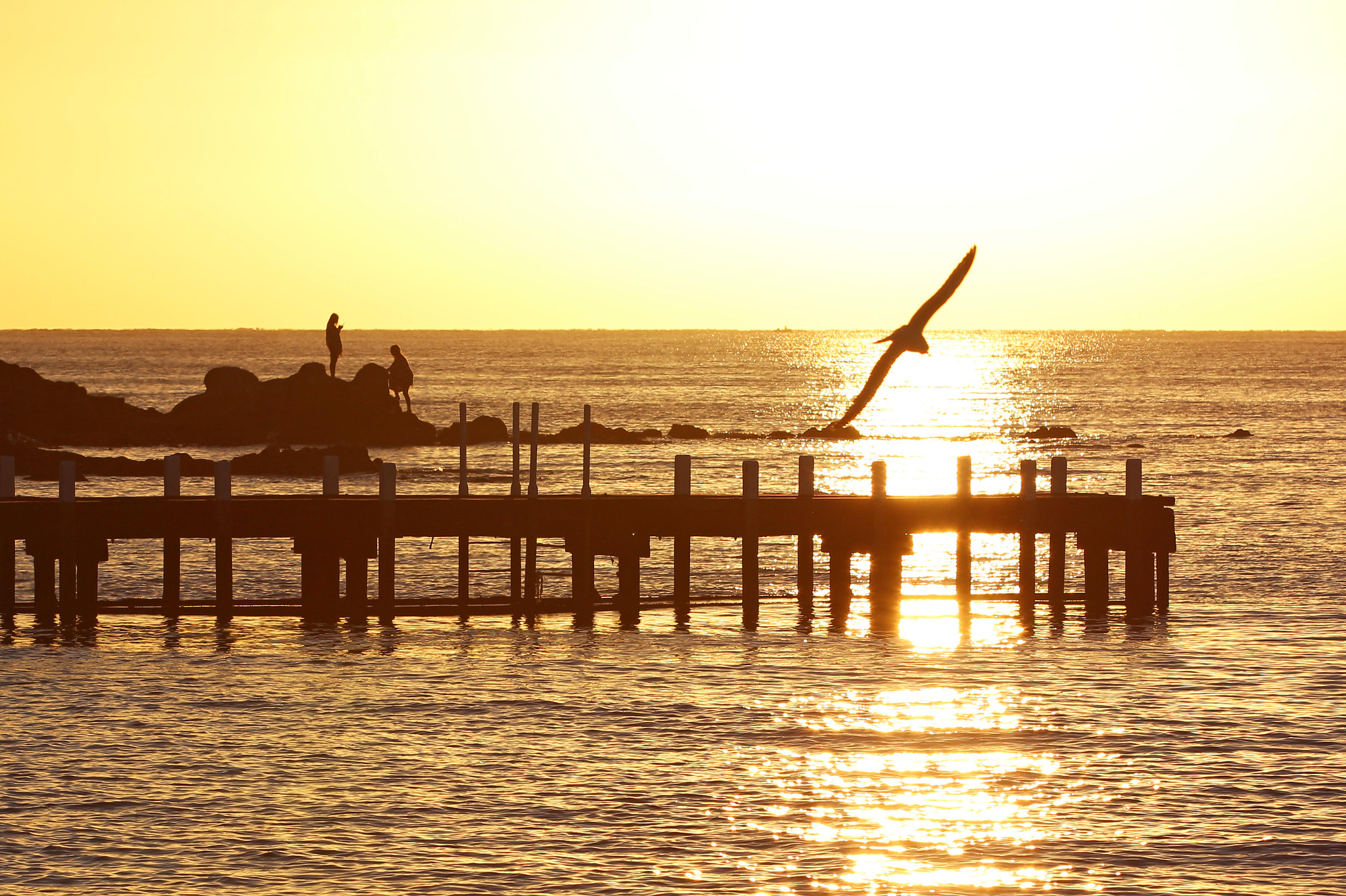 Canon EF 70-200mm F2.8L IS II USM sample photo. Frankston sunset photography