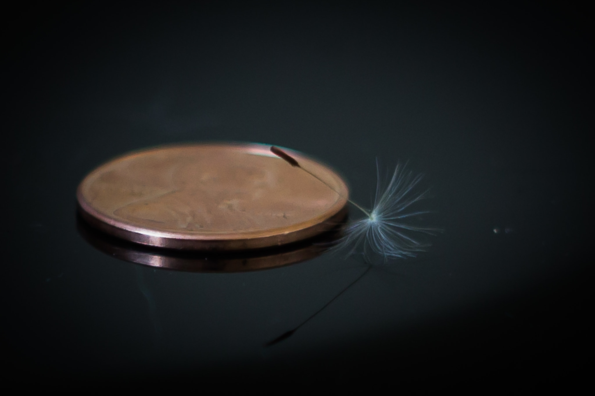 Canon EF 35-80mm f/4-5.6 sample photo. ... photography
