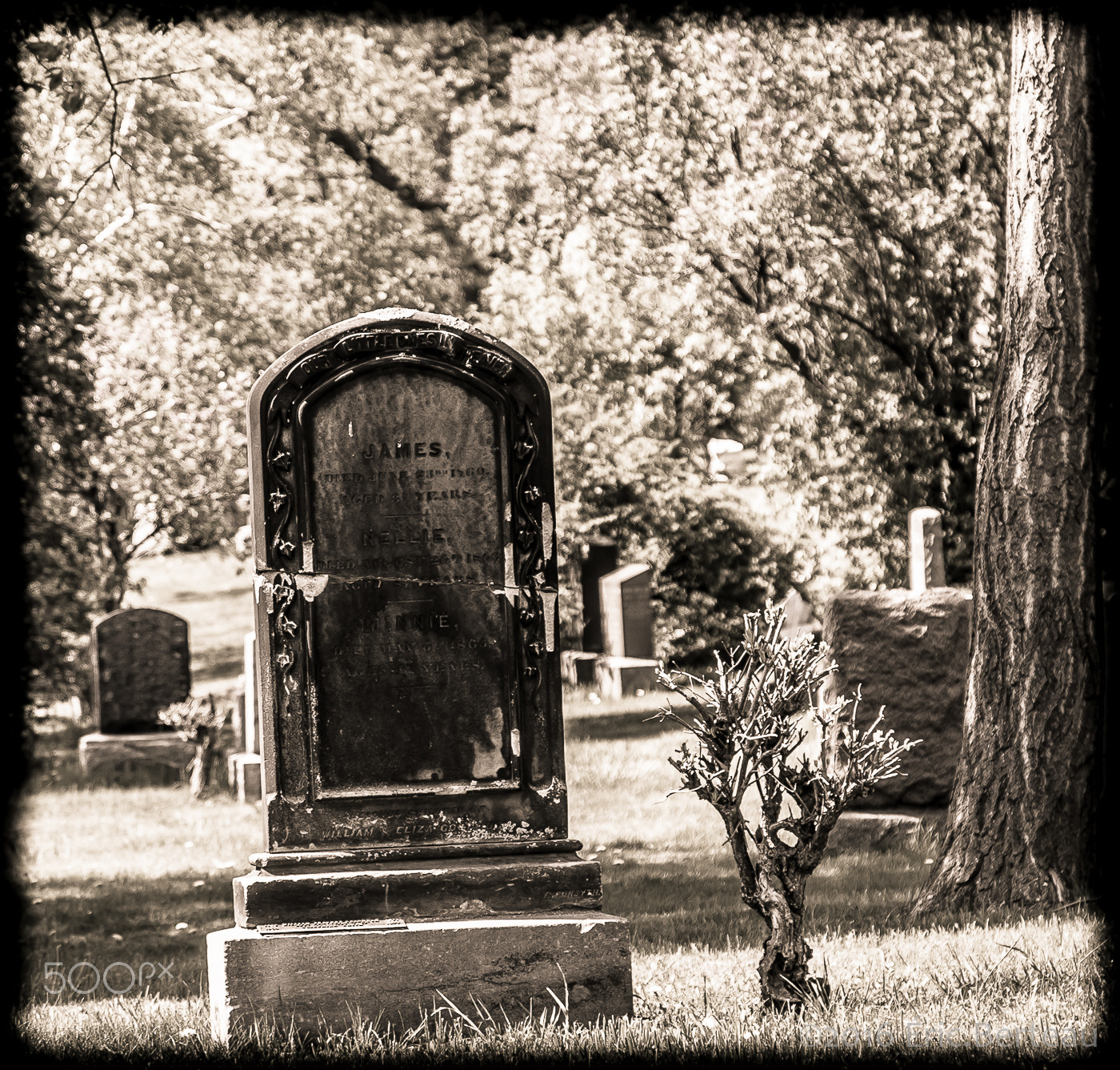 Pentax K-5 II + Sigma 17-70mm F2.8-4 DC Macro HSM | C sample photo. Cimetière montréal photography